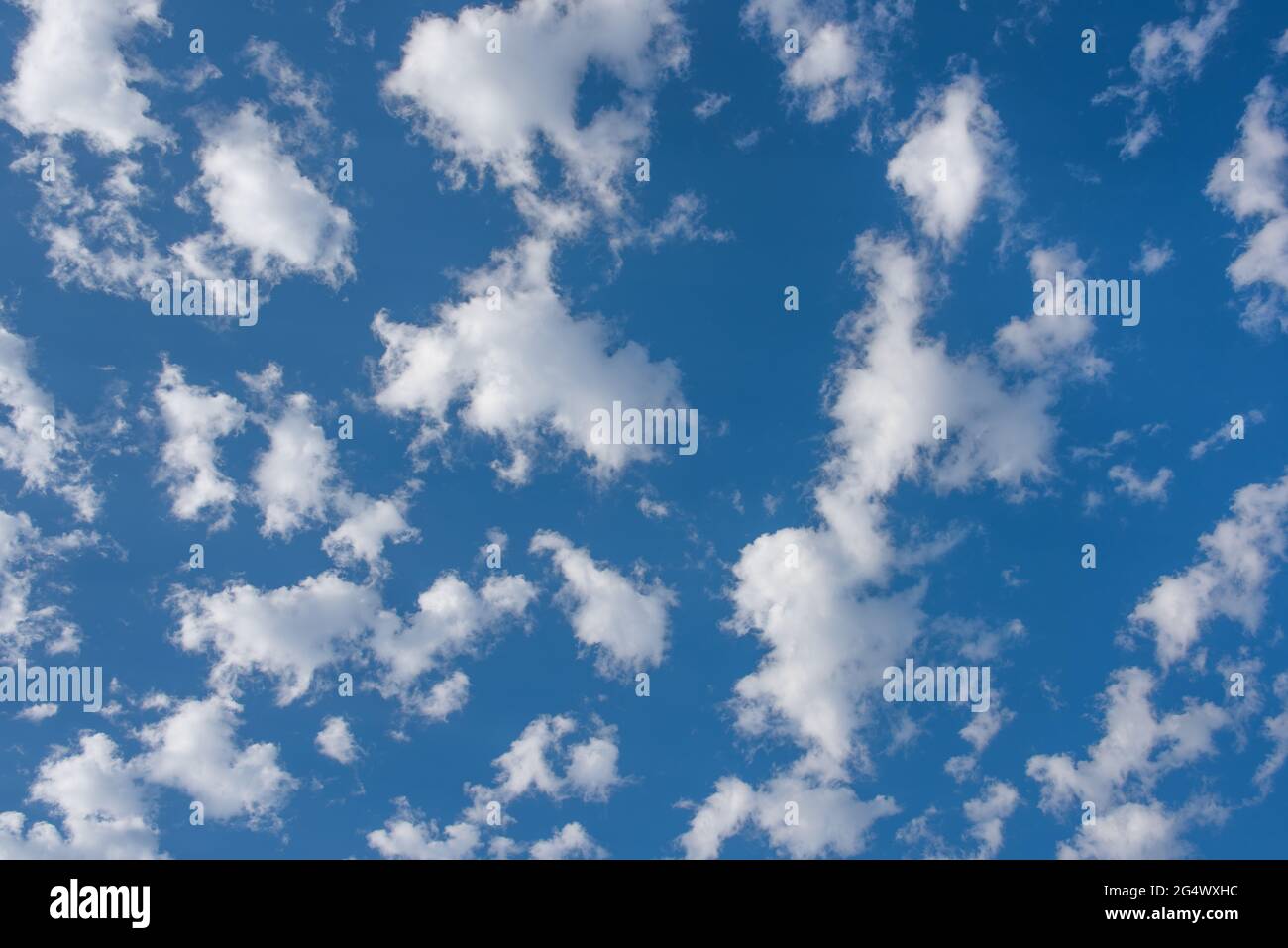 Stock Fotos für Wetter Magazin Websites teilweise bewölkt blauen Himmel. Geschwollene Kugeln Baumwollkugel Wolken Stockfoto