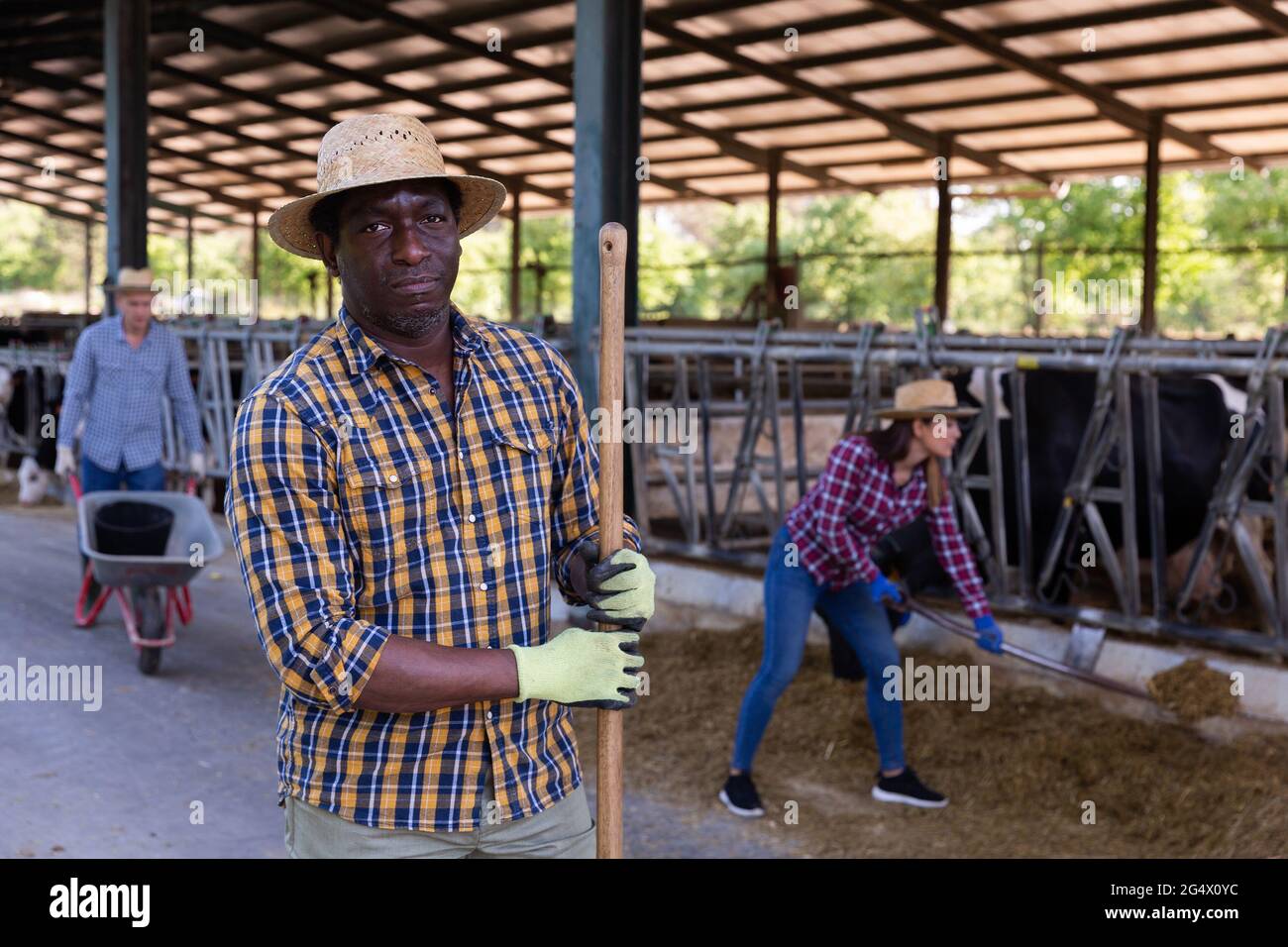 afroamerikanischer Landwirt, der landwirtschaftliche Werkzeuge in der Hand hält und im Kuhstall steht Stockfoto