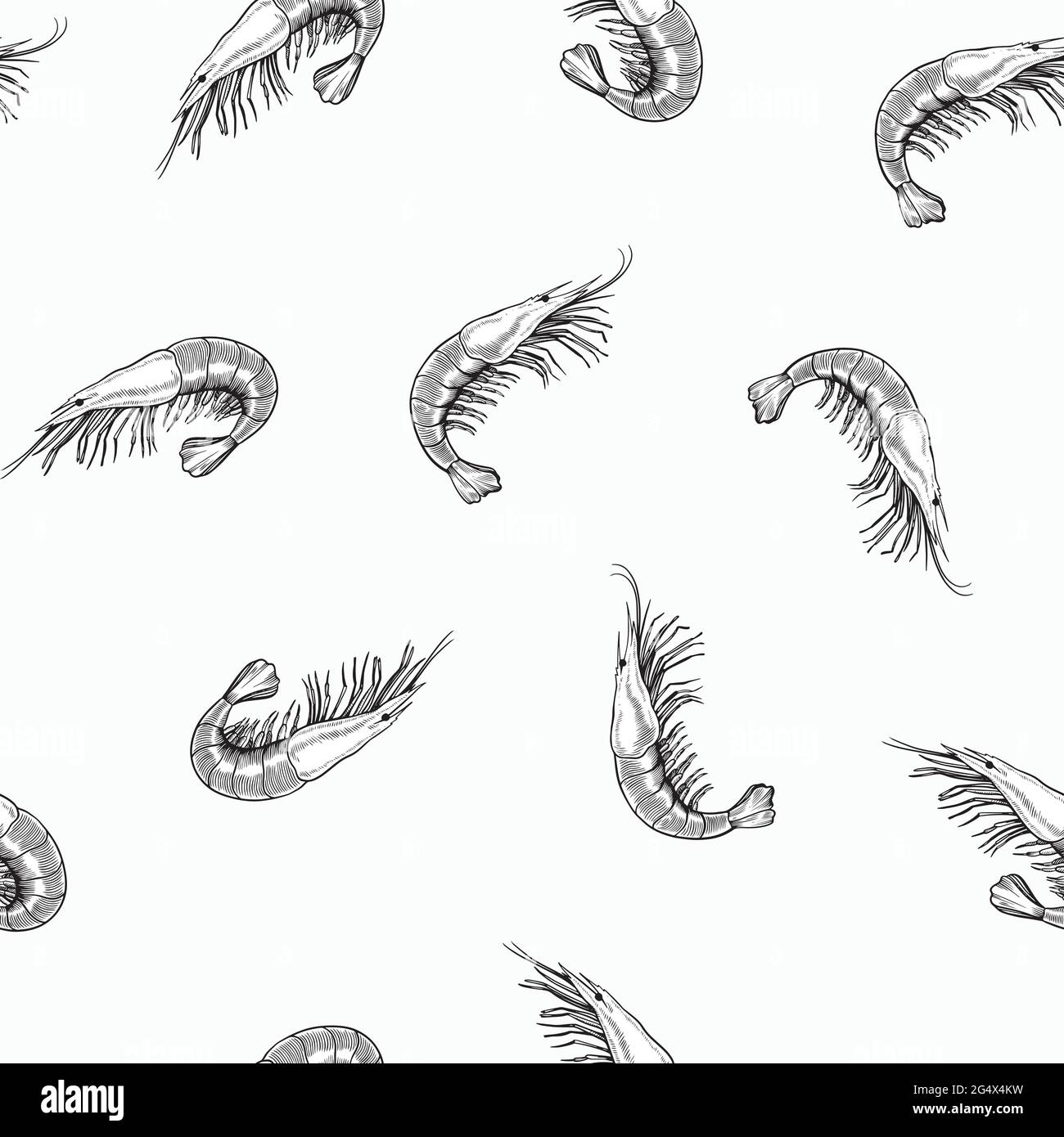 Nahtloses Muster mit Meernahrung, Garnelen, gezeichnet im Vintage-Gravurstil. Handzeichnung, schwarz-weiß Illustration. Stock Vektor