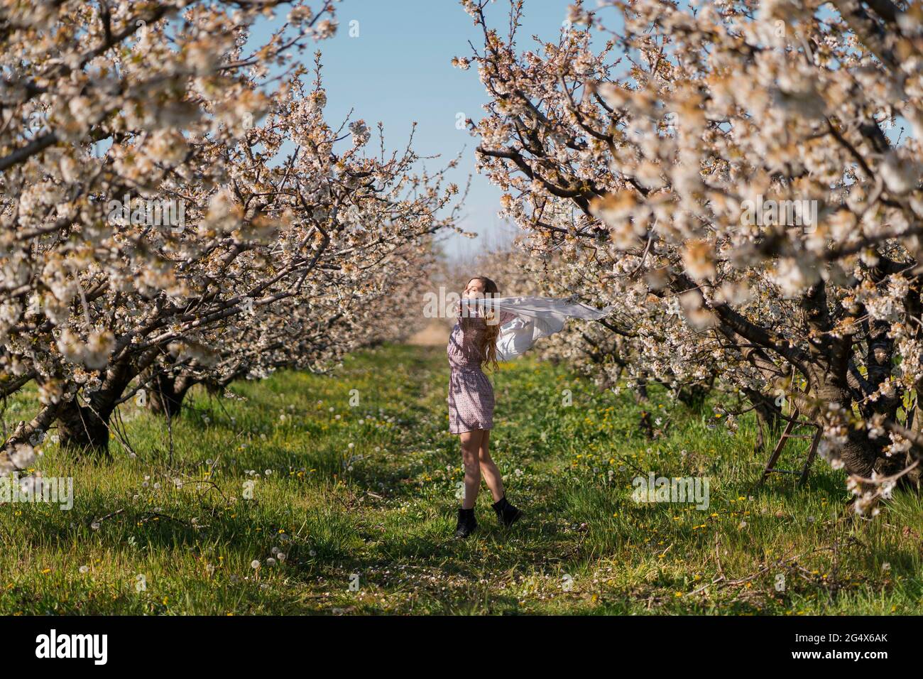 Frau mit geschlossenen Augen bläst Schal im Wind auf landwirtschaftlichem Feld Stockfoto