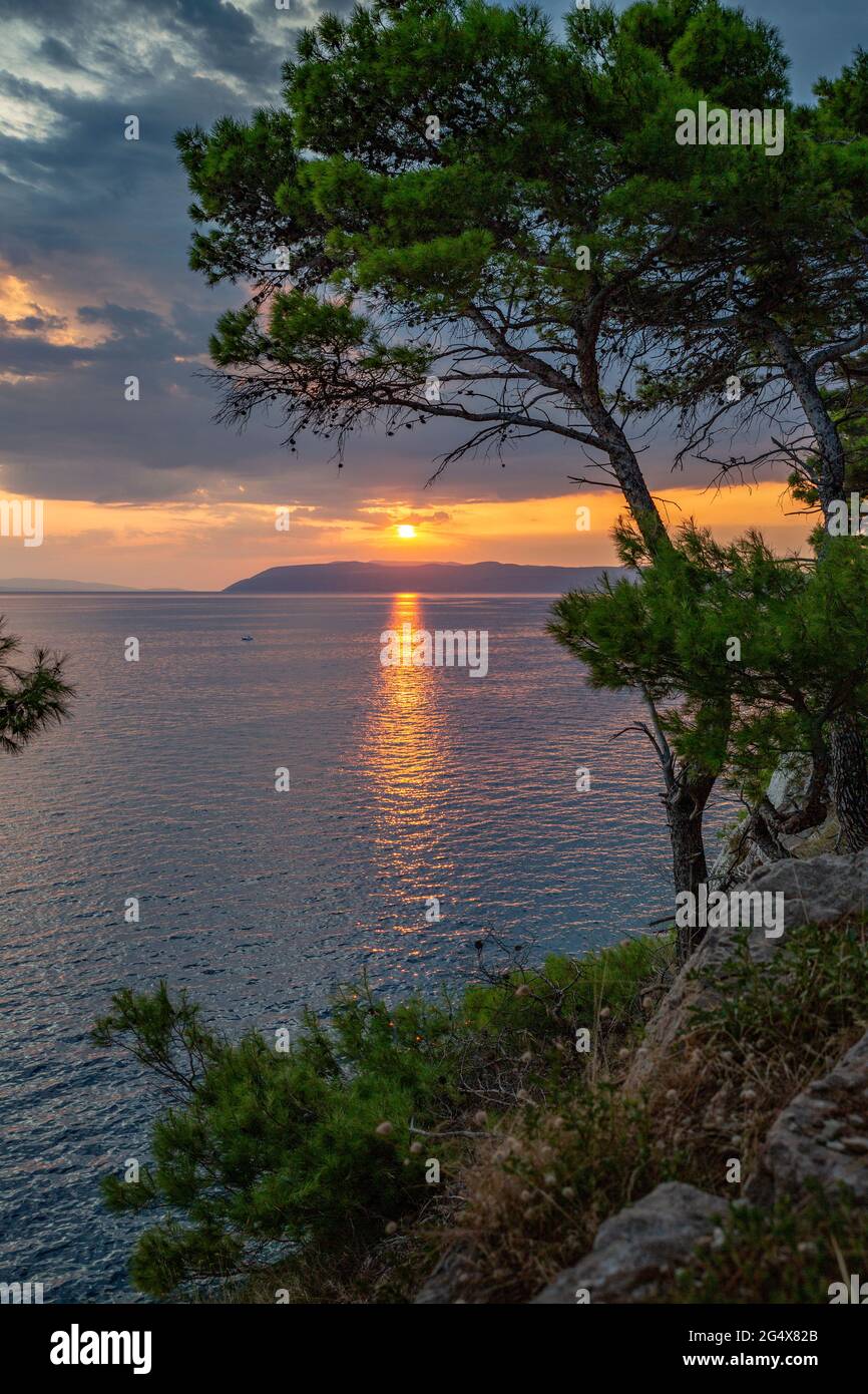 Makarska Riviera Bucht bei Sonnenuntergang mit Baum im Vordergrund Stockfoto