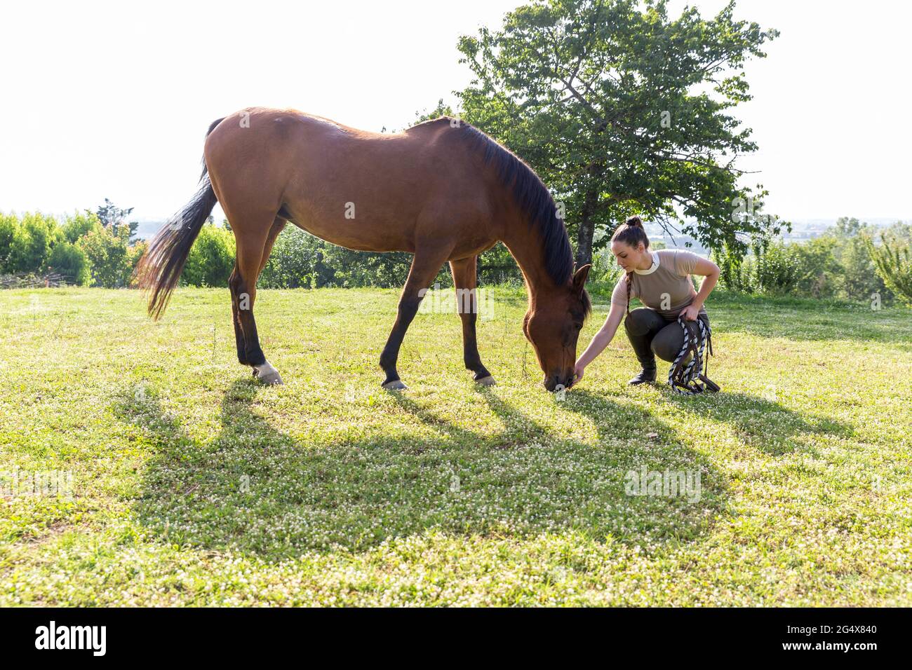 Frau füttert Pferd, während sie auf der Ranch hocken Stockfoto