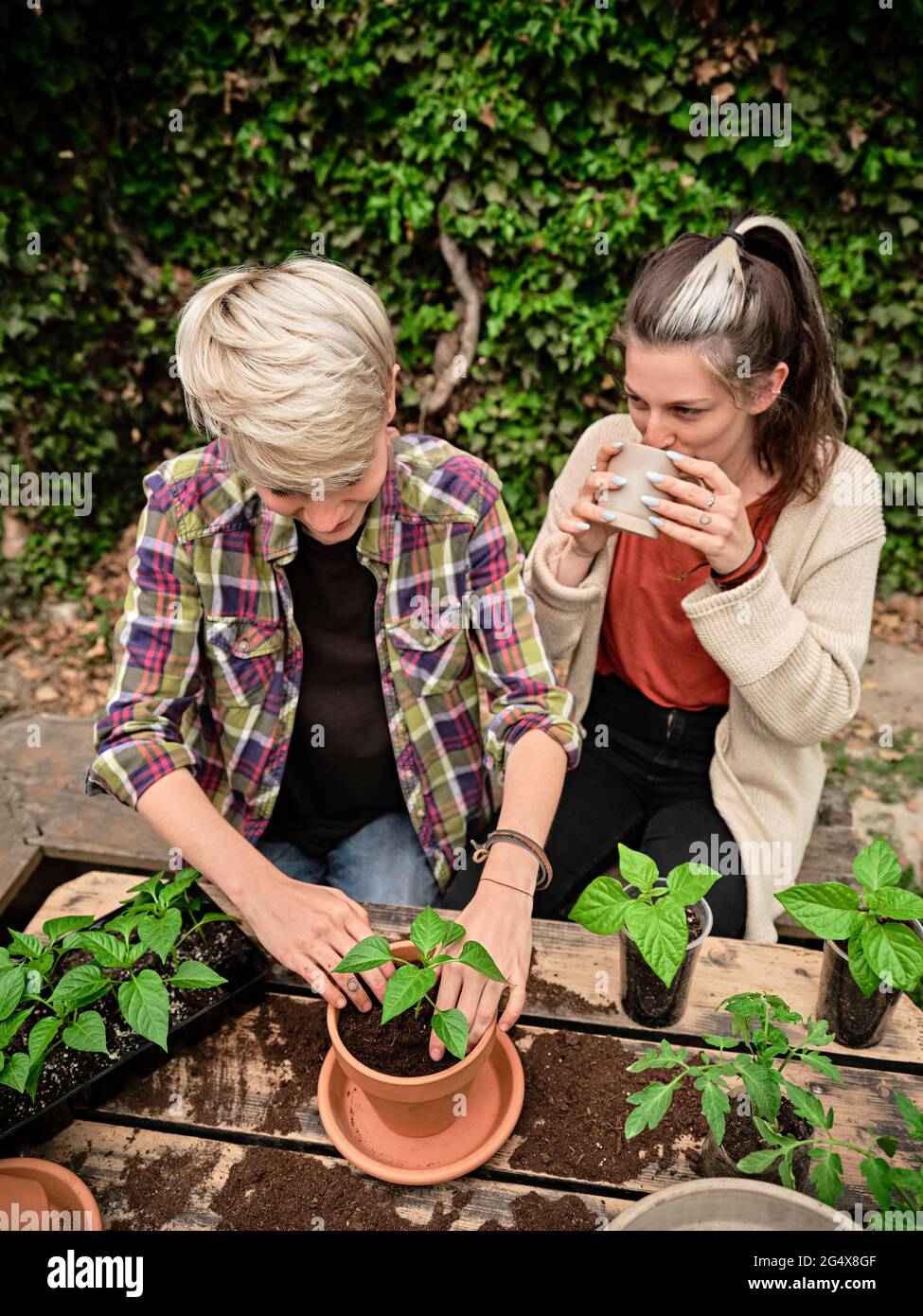 Frau trinkt Kaffee von einer Freundin, die im Garten pflanzt Stockfoto