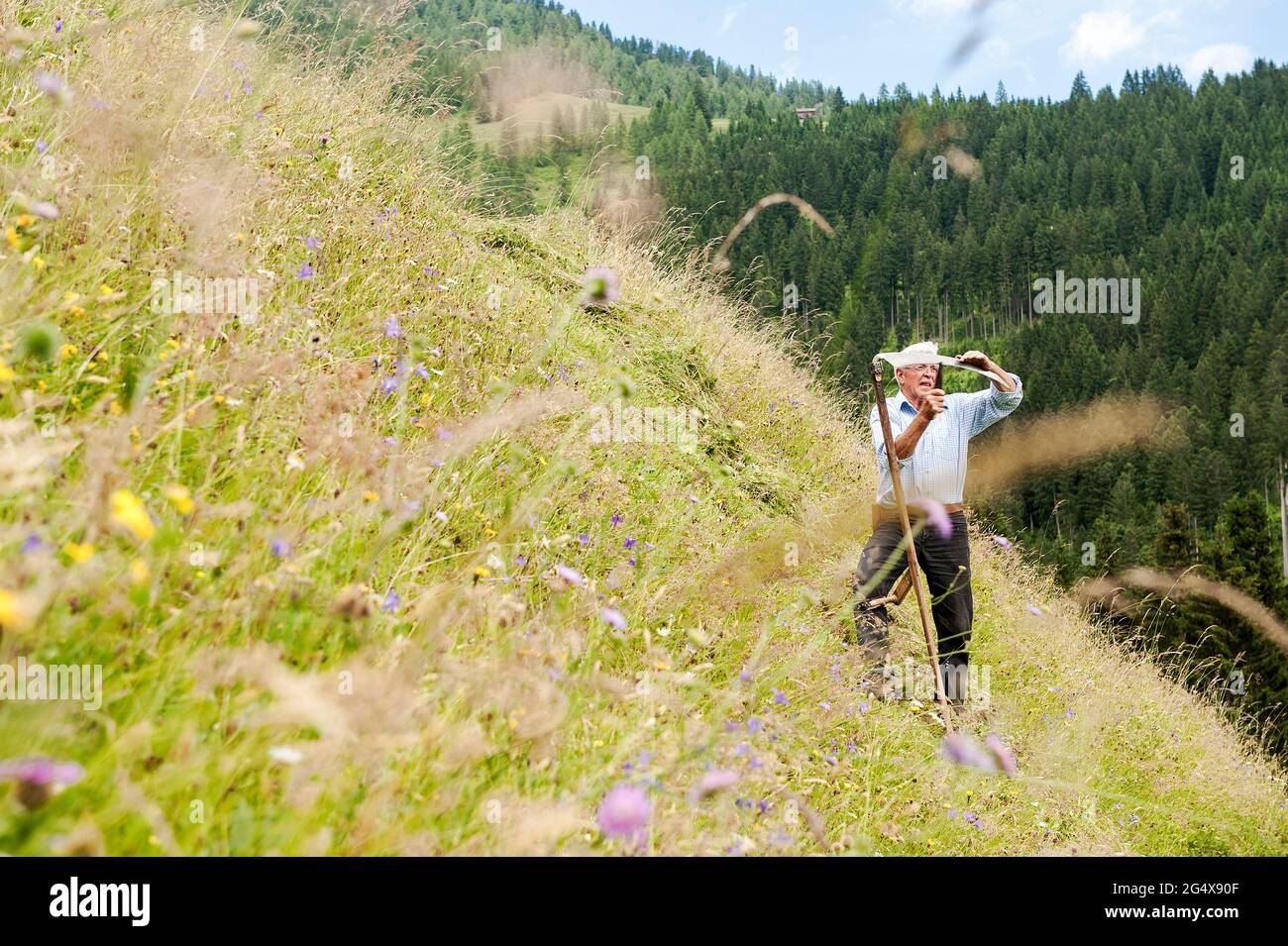 Seniorbauer mit Sense auf steilem Hügel, Salzburger Land, Österreich Stockfoto