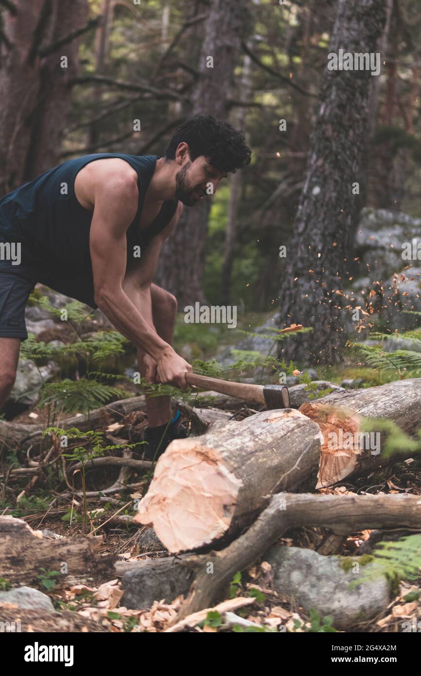 Junger Mann, der im Wald mit Axt gefallene Baumstämme schneidet Stockfoto
