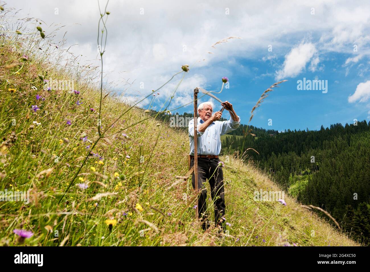 Seniorbauer mit Sense auf steilem Hügel im Salzburger Land, Österreich Stockfoto