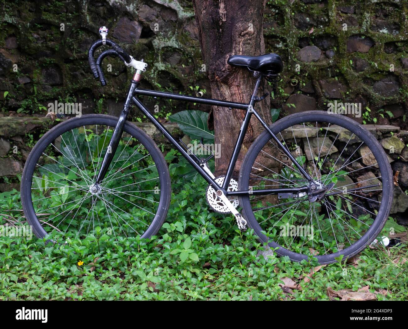 Fahrrad, das sich vor einer Steinmauer an einem Baum lehnt Stockfoto