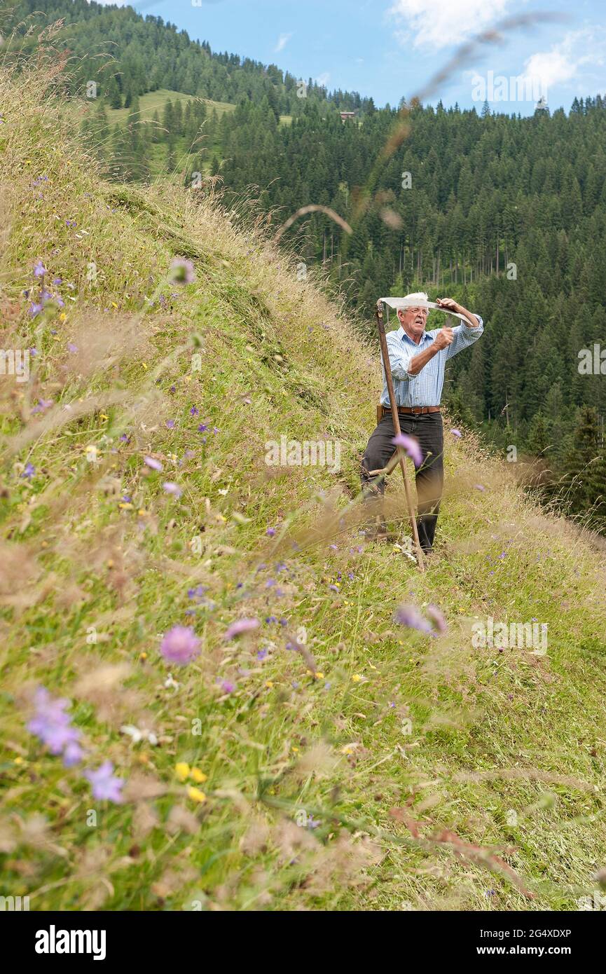 Älterer Bauer mit Sense auf der Wiese, Bundesland Salzburg, Österreich Stockfoto