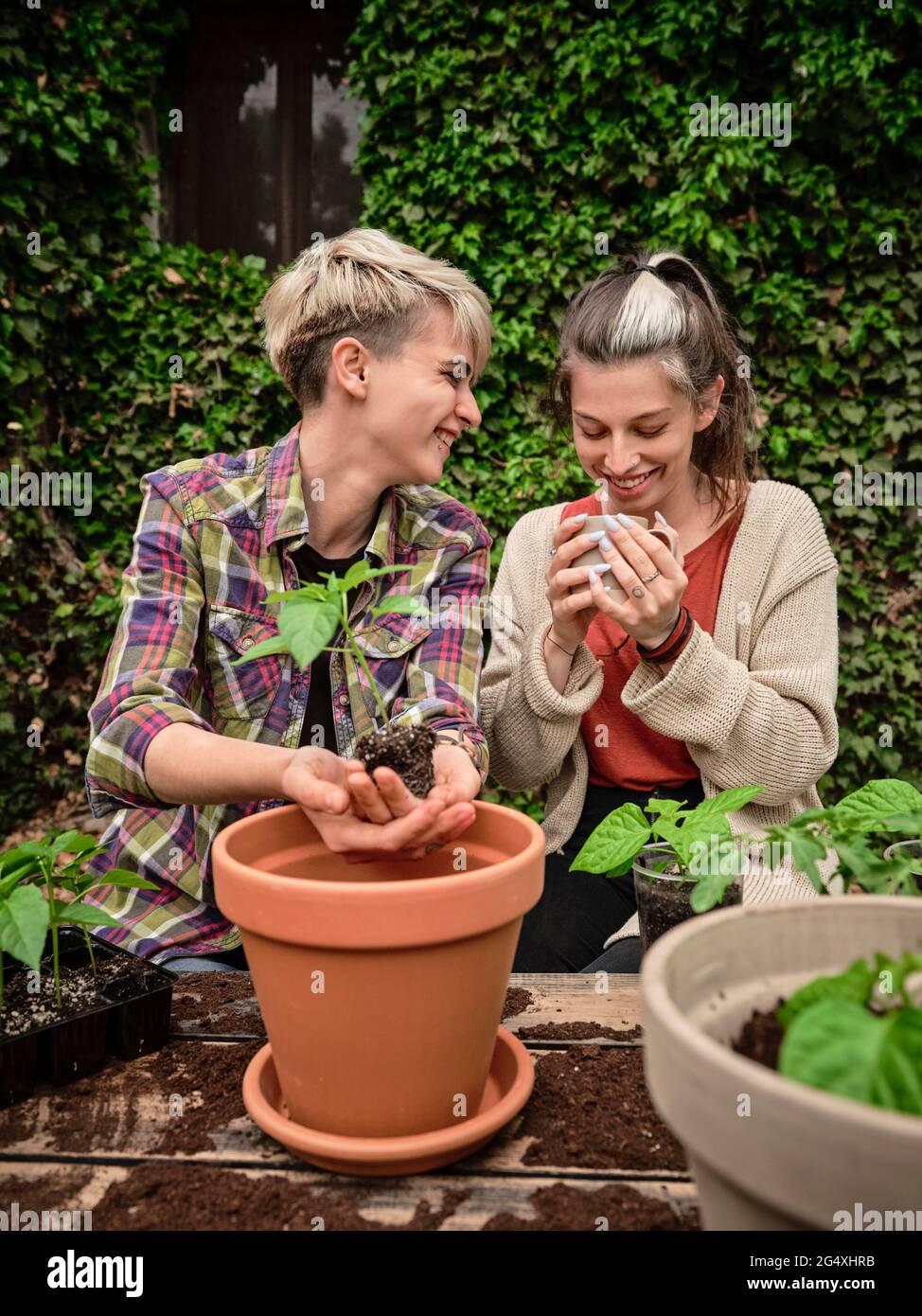 Lächelnde Frau, die eine Freundin beim Kaffee beim Pflanzen im Garten ansieht Stockfoto