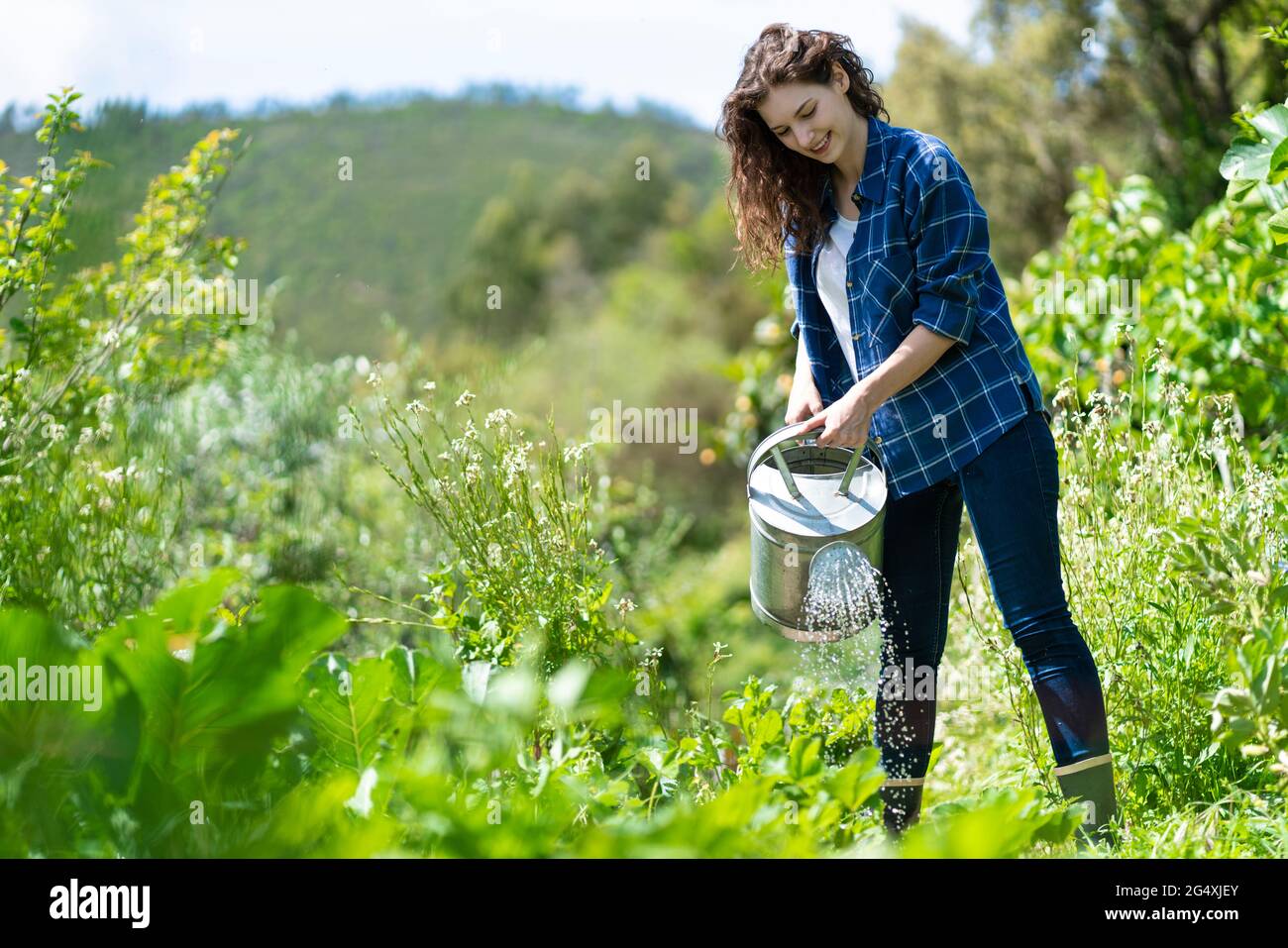 Permakultur Garten Stockfotos und bilder Kaufen Alamy