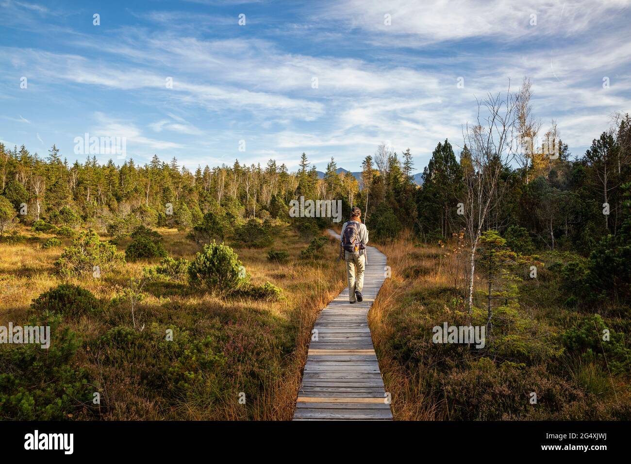 Männlicher Reisender, der an sonnigen Tagen auf der Promenade im Murnauer Moos läuft, Bayern, Deutschland Stockfoto