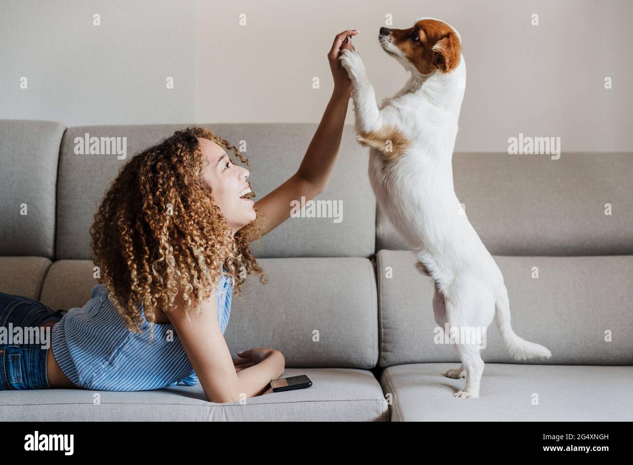 Lockige Frau, die zu Hause mit dem Hund auf dem Sofa spielt Stockfoto