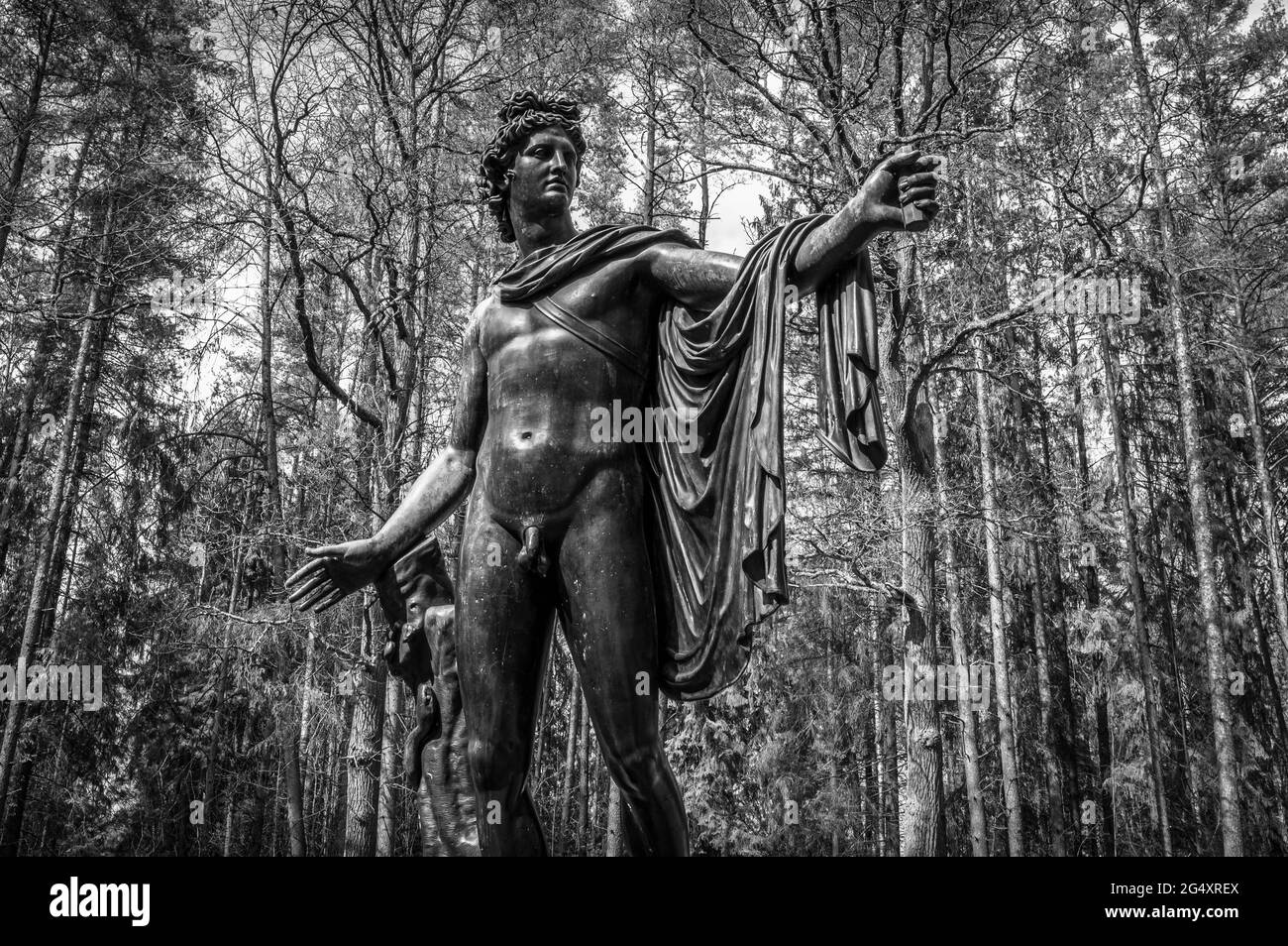 Bronzestatue von Apollo Belvedere in der Stadt Pavlovsk, Russland. Fjodor Gordejew, 1787. Stockfoto