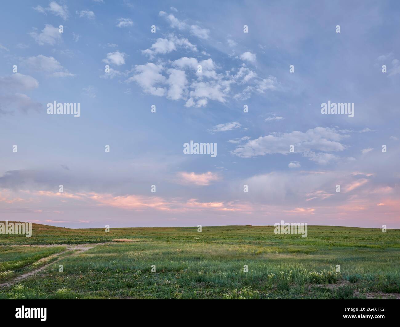 Abenddämmerung über der grünen Prärie - Pawnee National Grassland in Colorado, im späten Frühling oder im Frühsommer Stockfoto