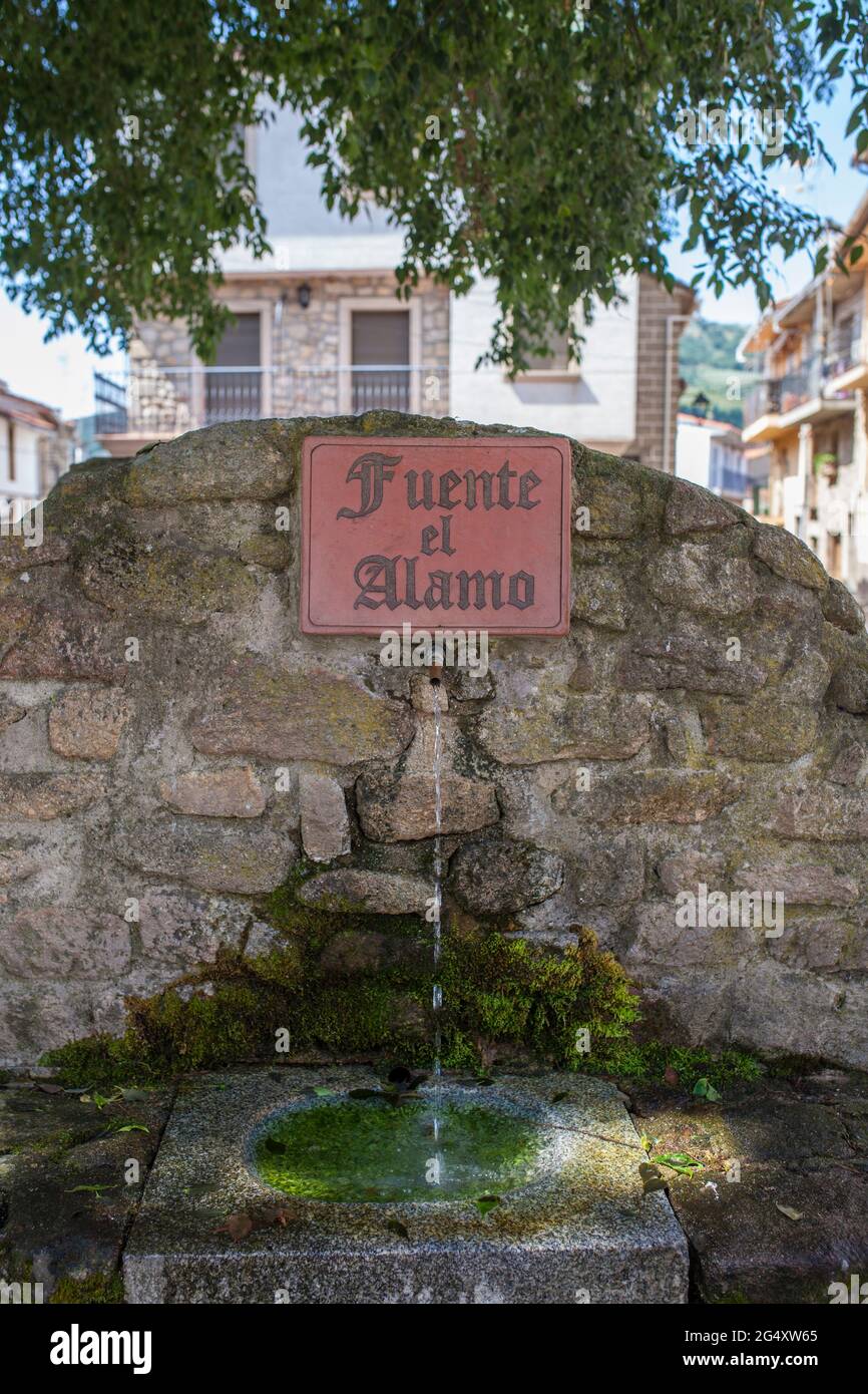 Acebo, schöne kleine Stadt in Sierra de Gata, Caceres, Extremadura, Spanien. Pappelbrunnen Stockfoto