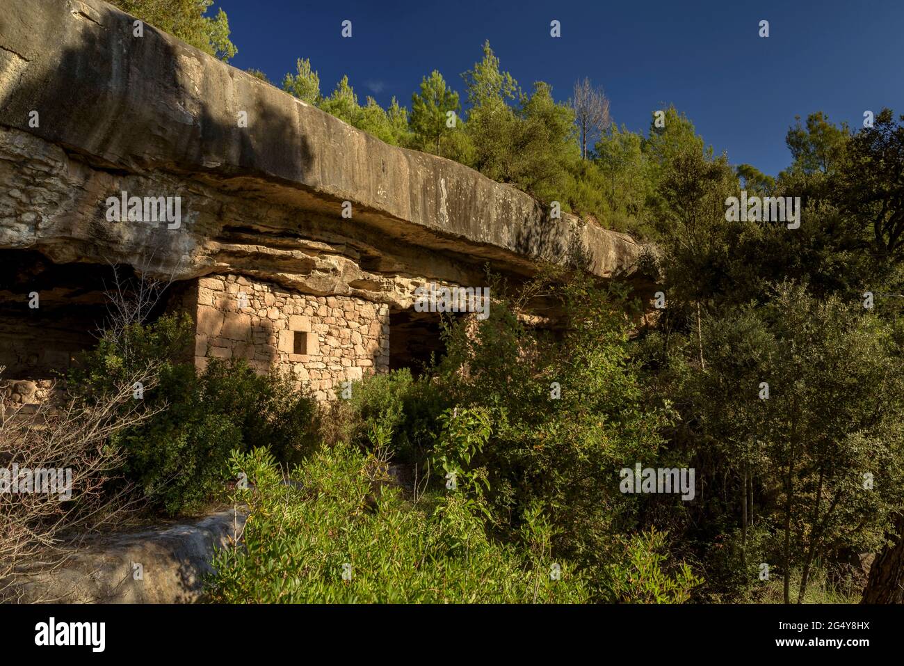 Balma de Comaposada Shelter, eine alte bewohnte Höhle in der Nähe von Castelladral, in Navàs (Barcelona, Katalonien, Spanien) ESP: Abrigo de la Balma de Comaposada Stockfoto