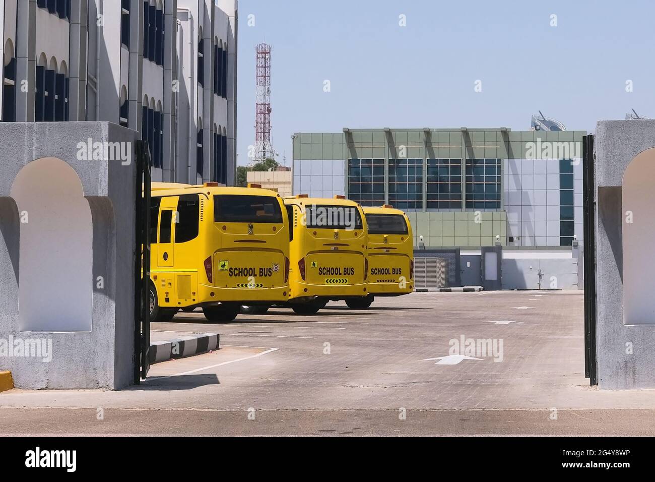Leere gelbe Schulbusse auf einem Parkplatz. Schulferien. Stockfoto