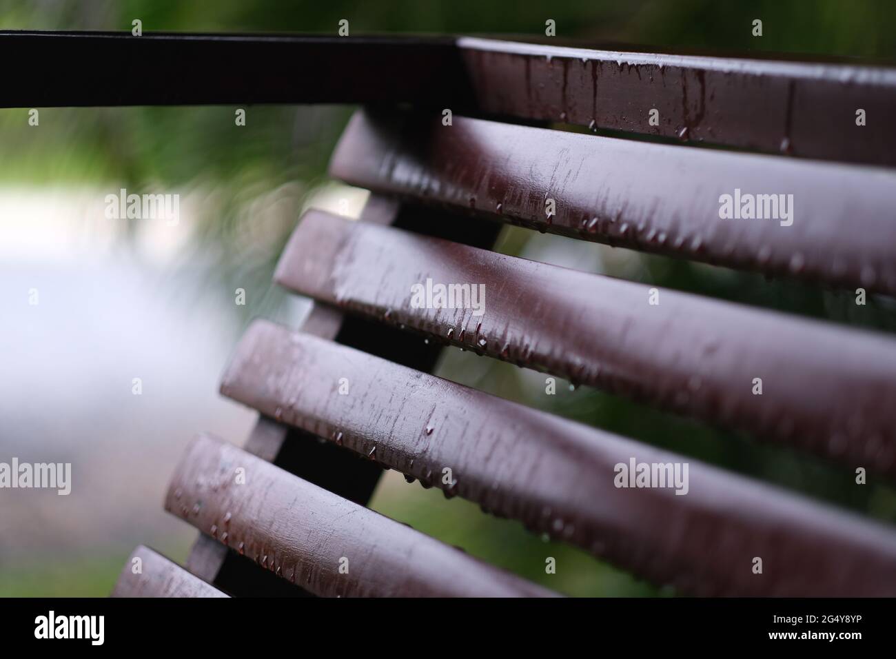 Eine gut aussehende Holzbank mit Regentropfen, vor einem verschwommenen grünen Garten Stockfoto