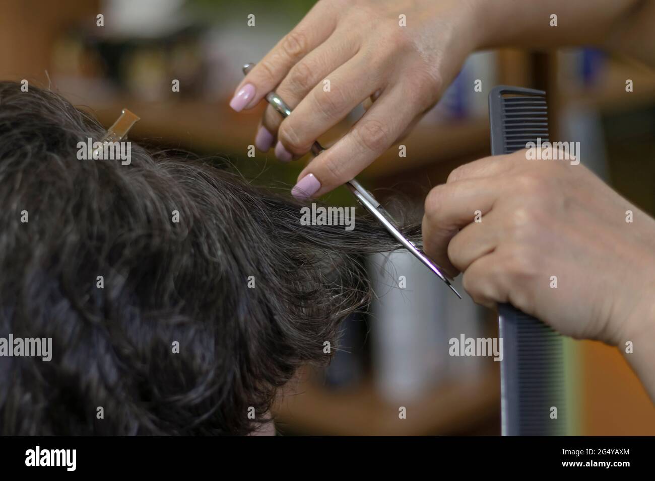 Weibliche Hände machen einen Haarschnitt auf dunklem Haar. Weicher Fokus Stockfoto