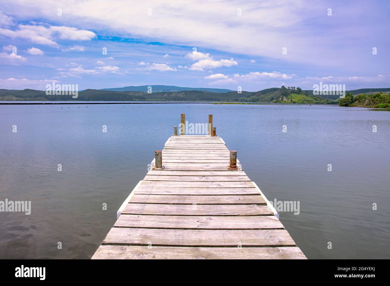 Malerische Aussicht auf einen Aussichtspunkt von einem hölzernen Steg im Lake Rotoiti in der Nähe des 531 State Hwy 33 Rotorua, Bay of Plenty, Neuseeland Stockfoto