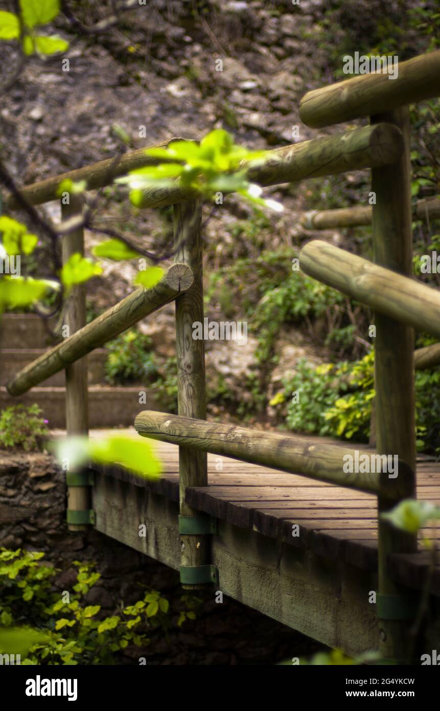 Holzbrücke, um den Fluss zu wagen und die Treppe zum Kloster von montserrat zu erreichen, umgeben von Bäumen und fallenden Blättern Stockfoto