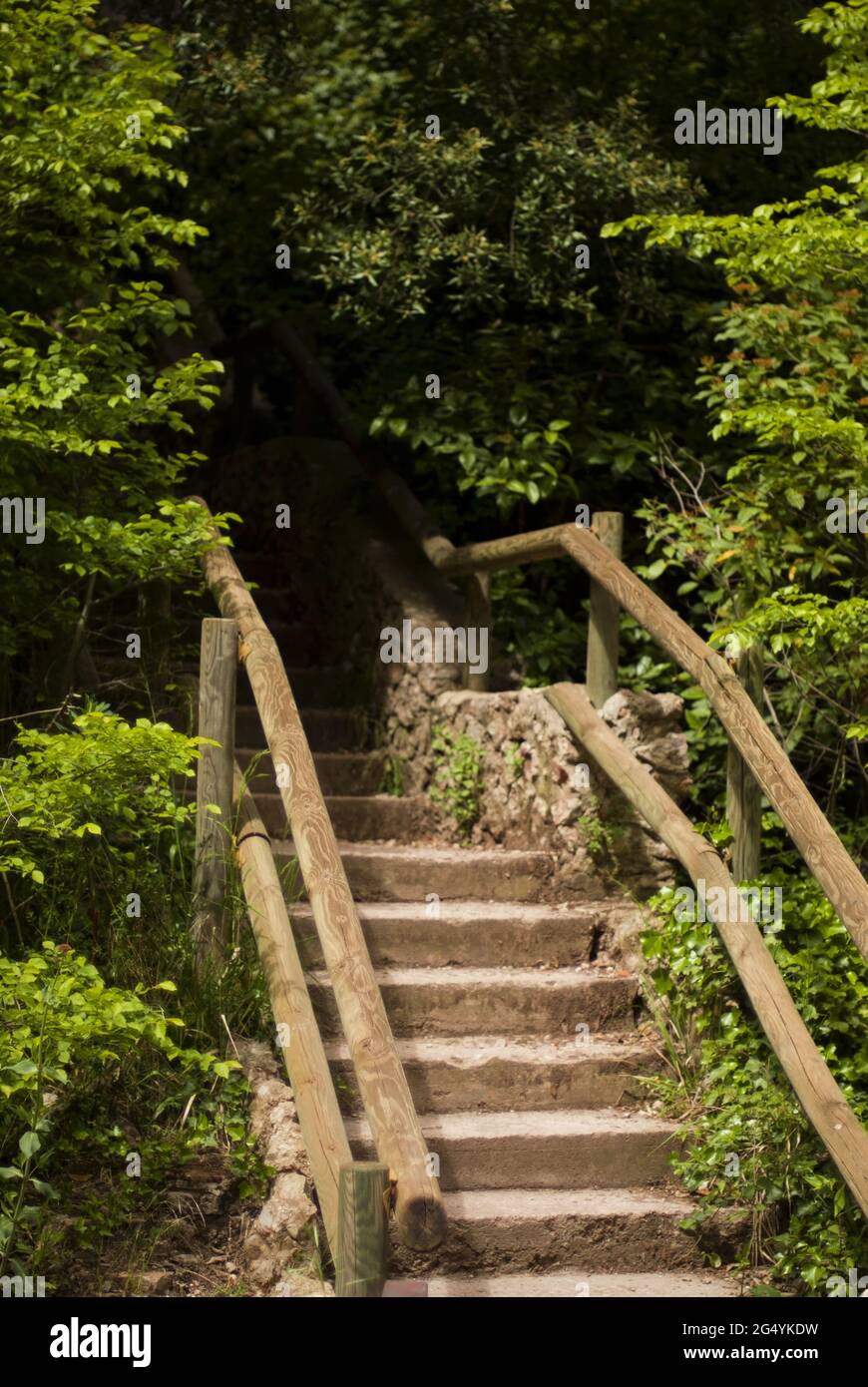 Zementtreppe zum Unbekannten auf dem von Bäumen gesäumten Weg zum Kloster Montserrat Stockfoto