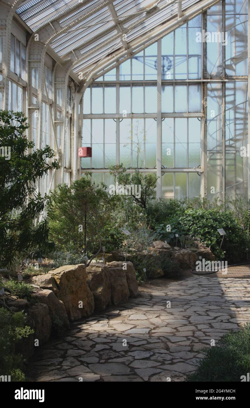 Botanischer Garten Berlin Gewächshaus an einem sonnigen Tag Stockfoto