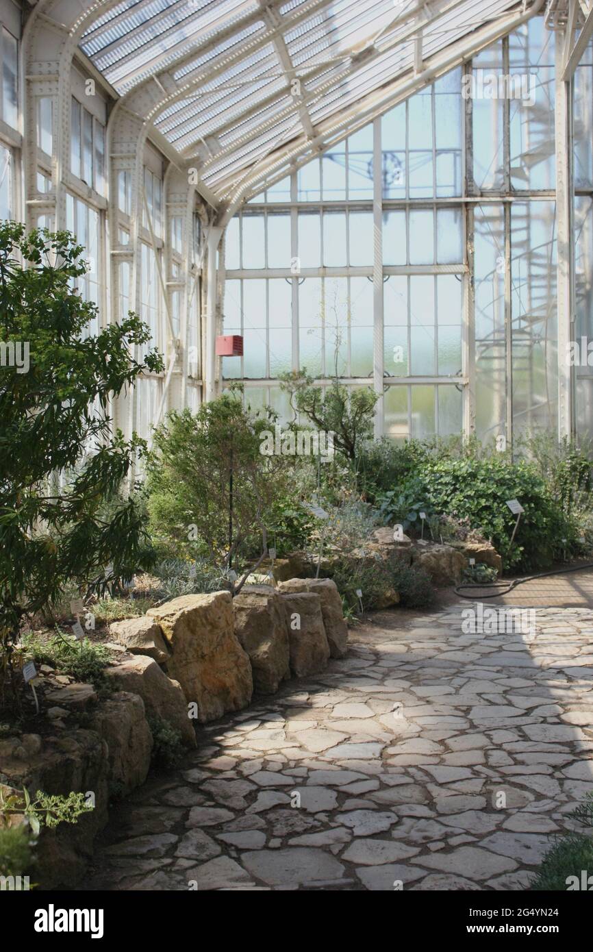 Botanischer Garten Berlin Gewächshaus an einem sonnigen Tag Stockfoto