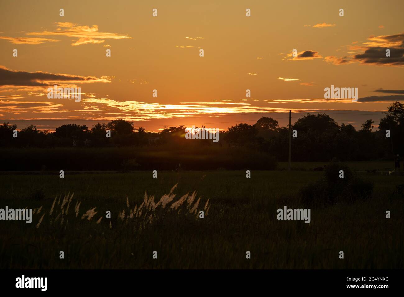 Blick auf den Sonnenuntergang in dunkler Stimmung. Stockfoto