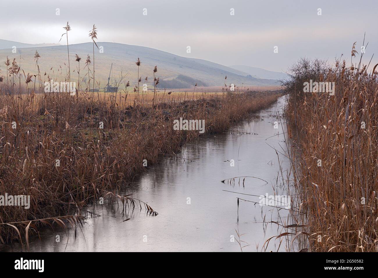 Gefrorener Teich am sic Sumpf, einem geschützten Gebiet vor Siebenbürgen Stockfoto