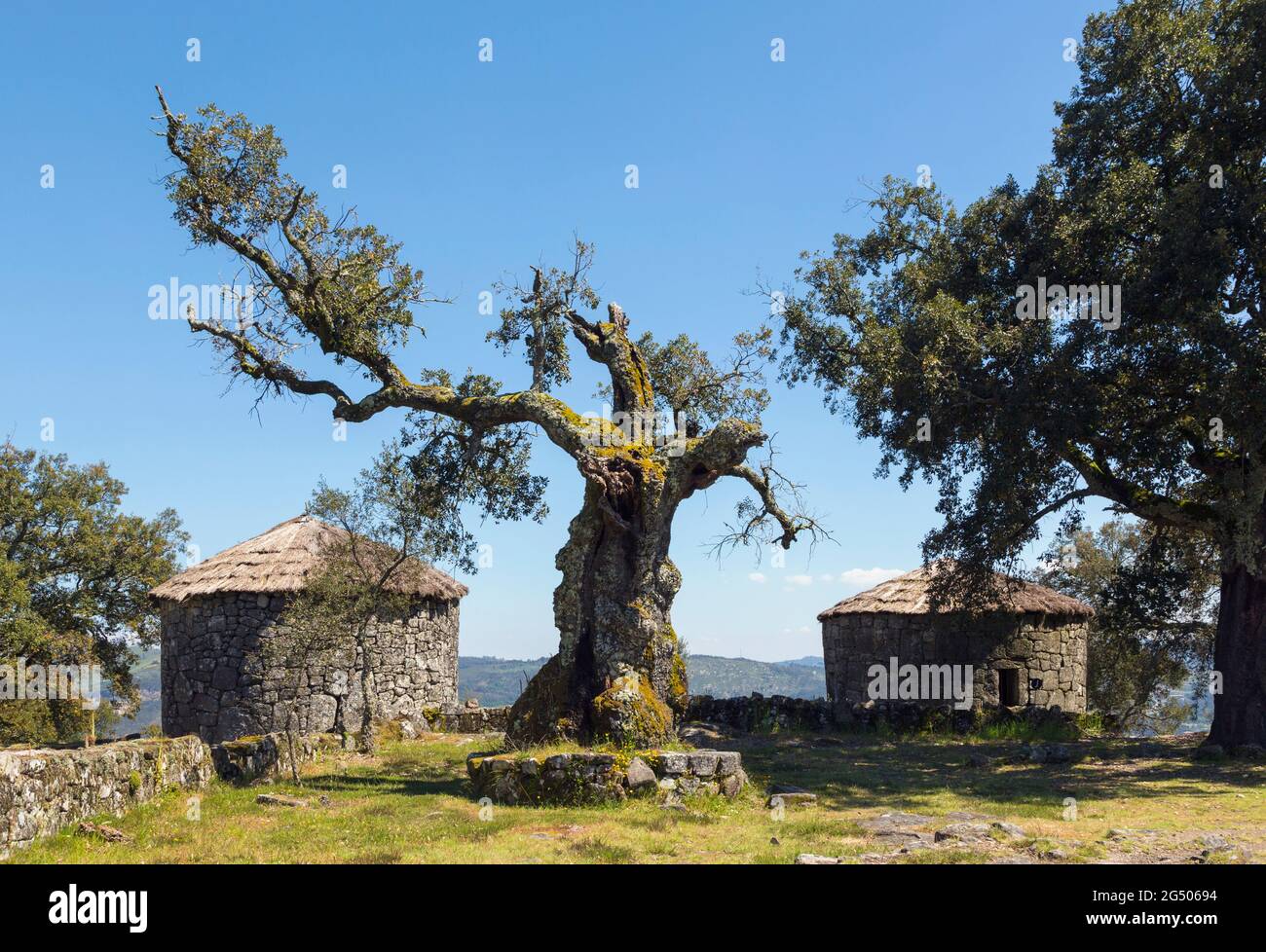 Citania de Briteiros, Bezirk Braga, Portugal. Eisenzeit Siedlung. Zwei rekonstruierte Steinhäuser. Eine der wichtigsten archäologischen Stätten Portugals Stockfoto