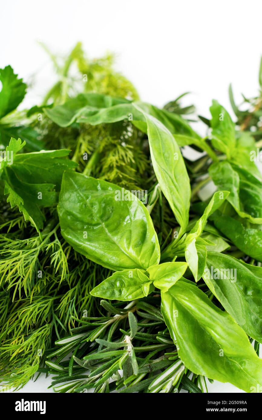 Frisches Bouquet von Basilikum, Dill, Petersilie, Basilikumblättern auf weißem, hellem Hintergrund. Selektiver Fokus. Stockfoto