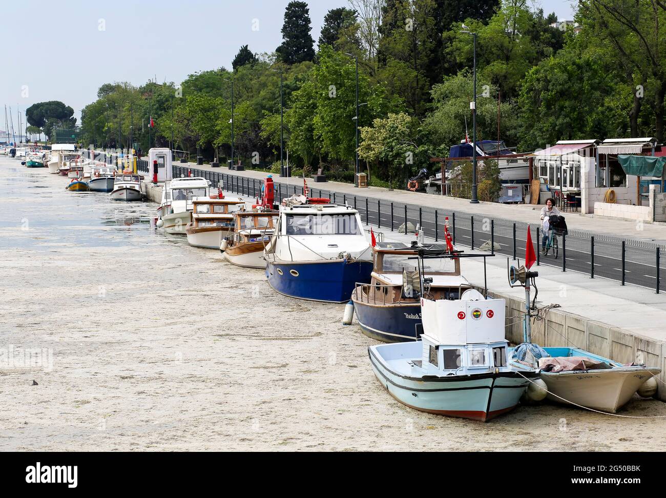 Meer ​​saliva im marmarameer. Negative Auswirkungen auf das natürliche Leben und die Umwelt. Stockfoto