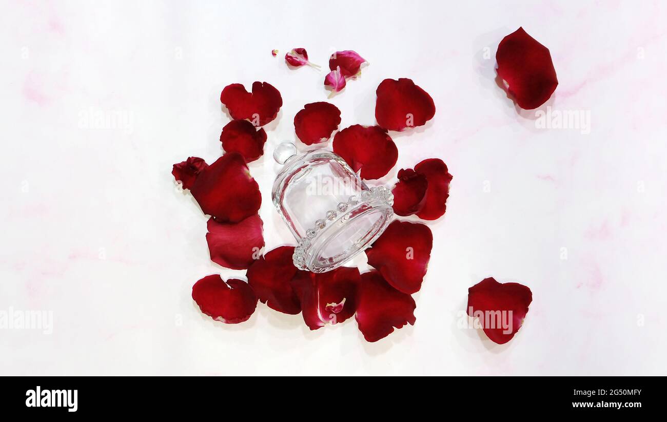 Ein leeres glockenförmiges Glasgefäß mit aufgehendem Deckel, das auf der Oberfläche liegt, mit roten Rosenblättern, die sich um das Glas ausbreiten. Stockfoto