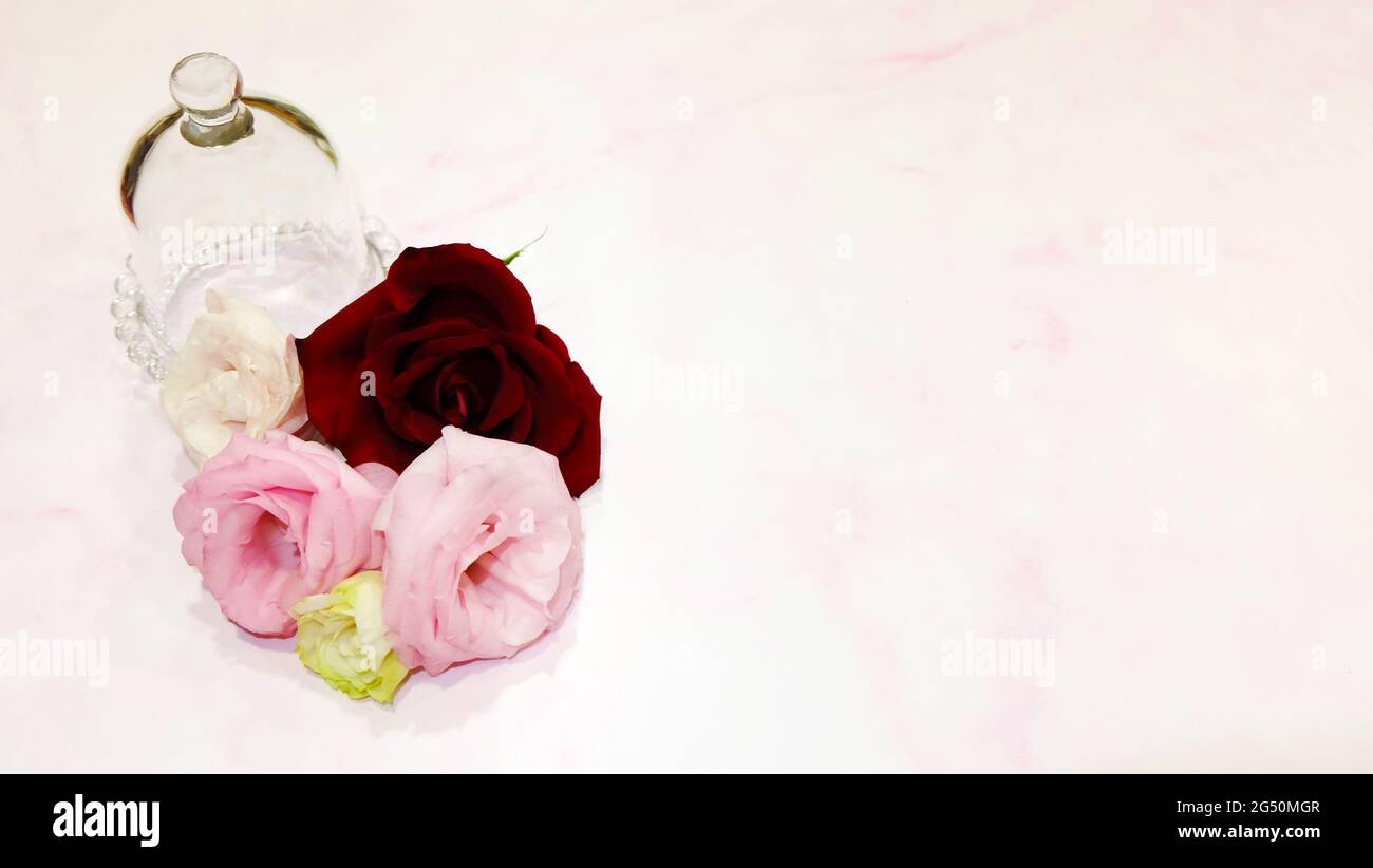 Ein leeres Glas aus transparentem Glas mit 5 verschiedenen farbigen Blüten - rot, rosa, pastellfarben und hellgrün neben dem Glas. Mit Kopierplatz auf der rechten Seite. Stockfoto