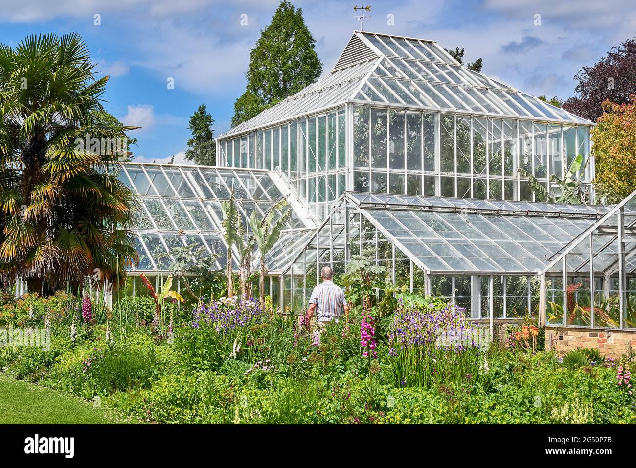Ein männlicher Besucher neben dem heißen Haus im botanischen Garten der Universität Cambridge, England. Stockfoto
