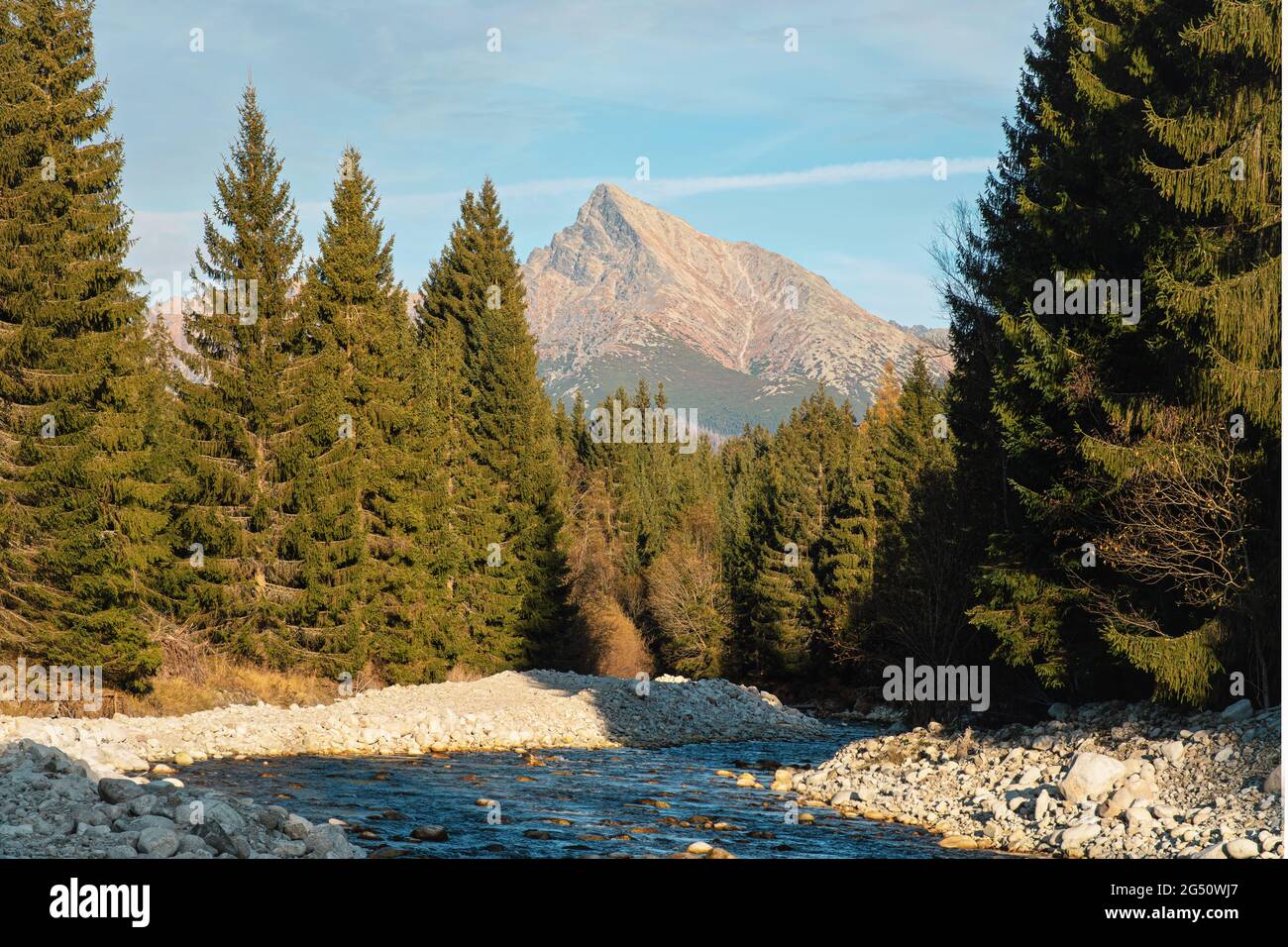 Waldfluss Bela mit kleinen runden Steinen und Nadelbäumen auf beiden Seiten, sonniger Tag, Krivan Gipfel - slowakisches Symbol - in der Ferne Stockfoto