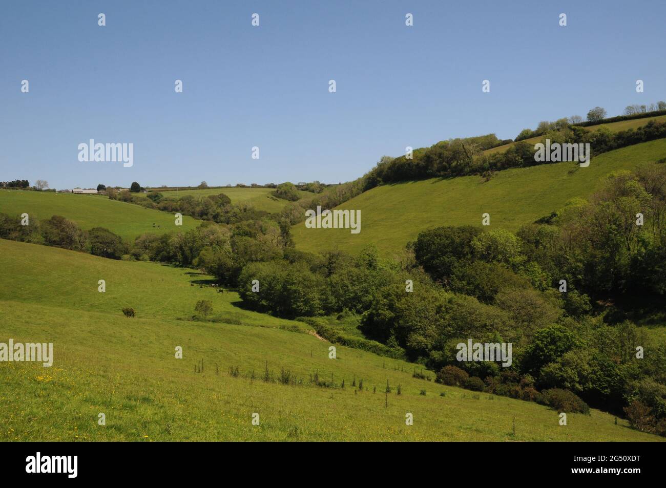 Die Landschaft im Tal des Flusses Gara in der Nähe von Blackawton im Bezirk South Hams von Devon. Die Gegend ist bei Wanderern und Spaziergängern beliebt. Stockfoto