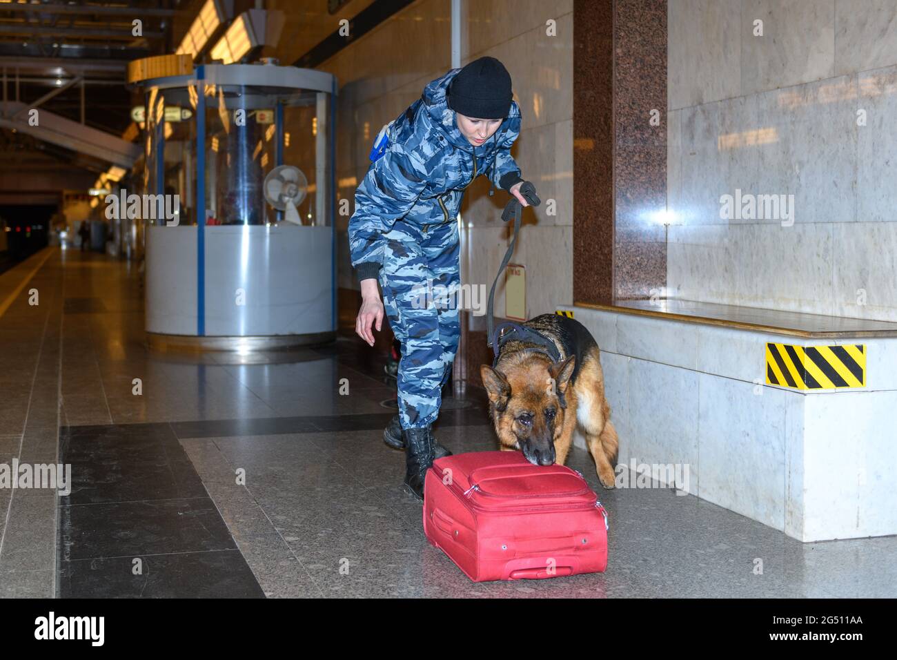 Eine Polizistin mit einem ausgebildeten deutschen Schäferhund schnüffelt Drogen oder Bomben im Gepäck aus. U-Bahn-Station. Stockfoto