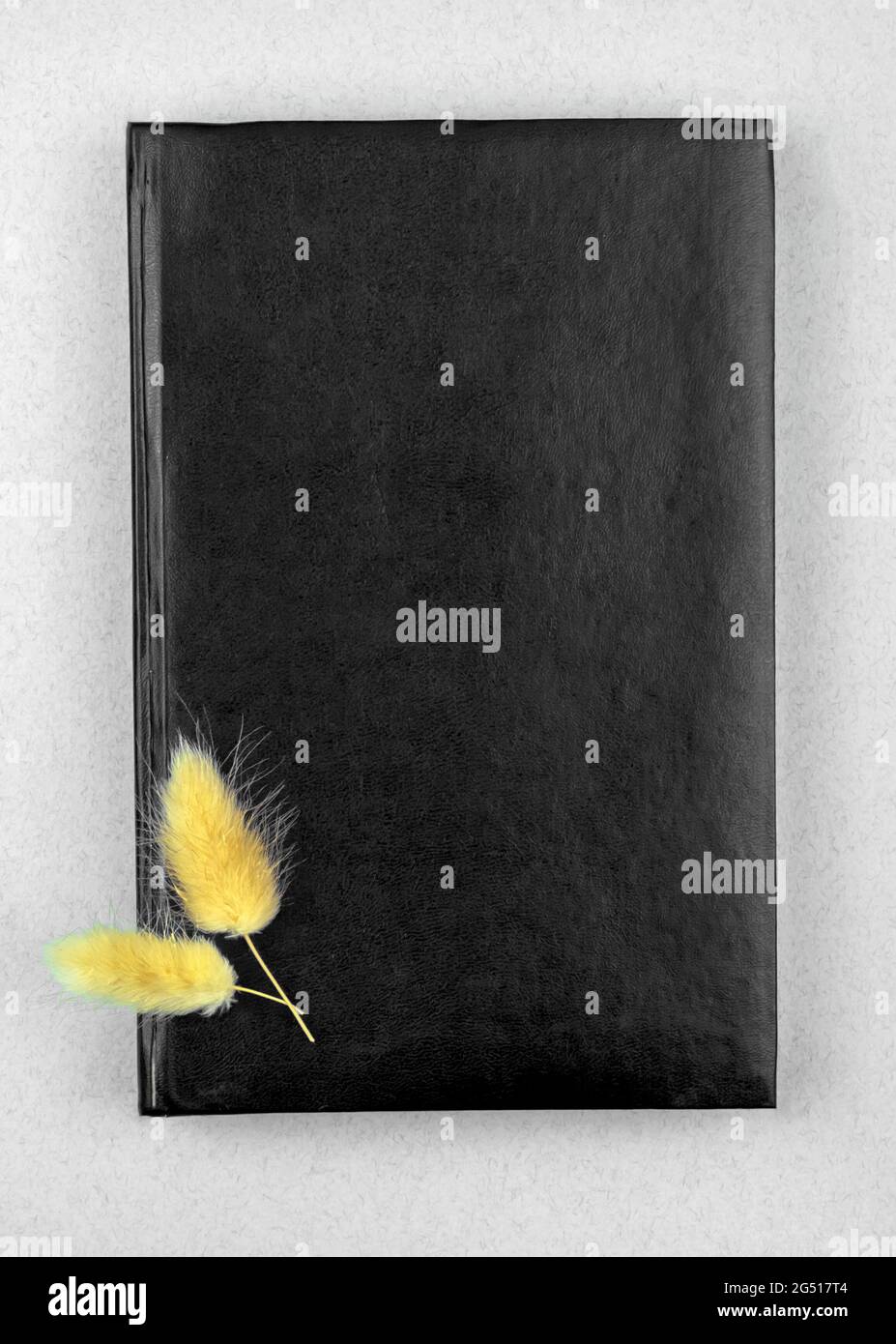 Schwarzes Leder-Notizbuch modernes Design-Modell mit getrockneten Blumen, Kopierraum, Draufsicht Stockfoto