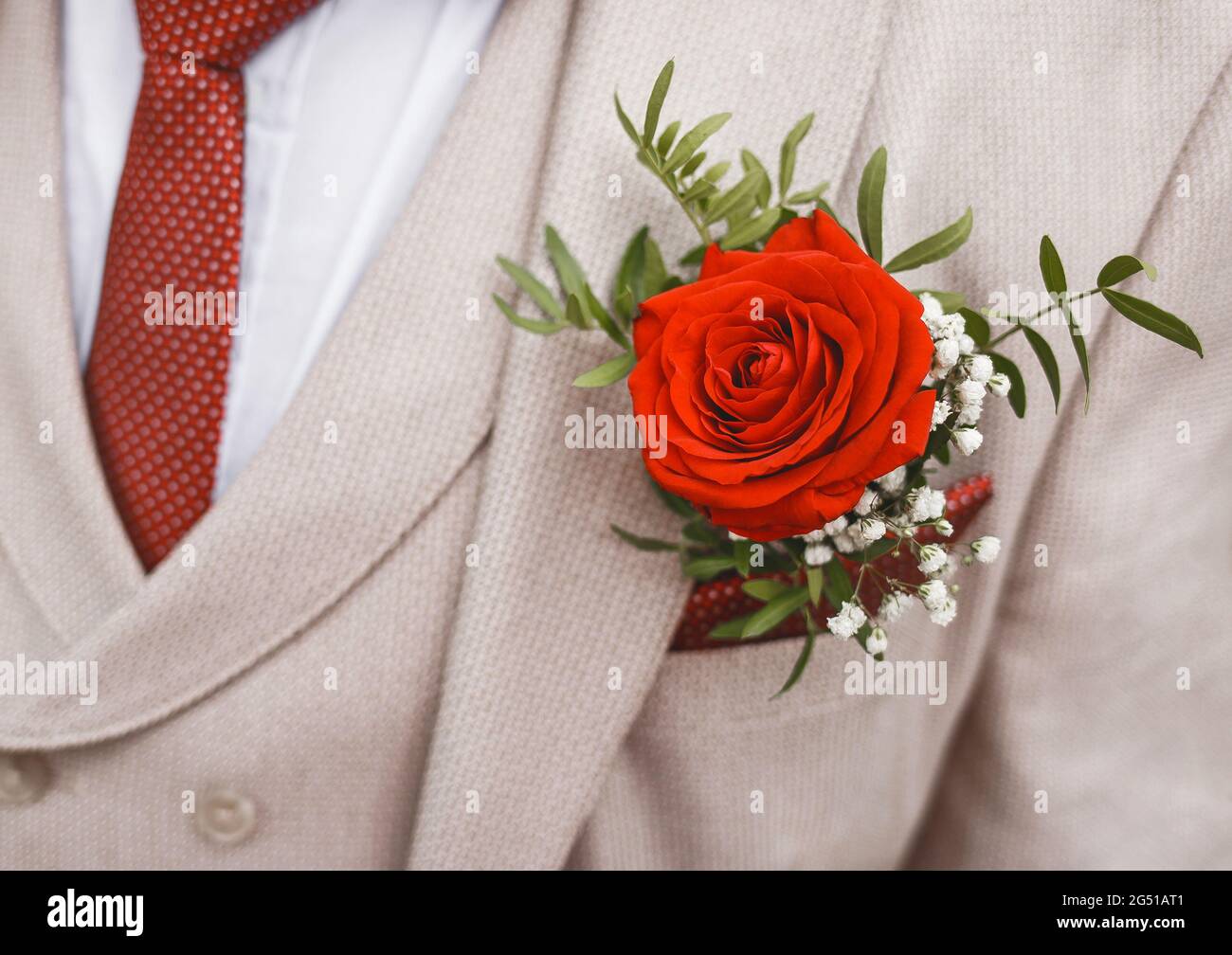 Beigefarbener Hochzeitsanzug für Herren mit roter Krawatte mit Punktmuster, verziert mit einer Rose und Nahaufnahme. Stockfoto