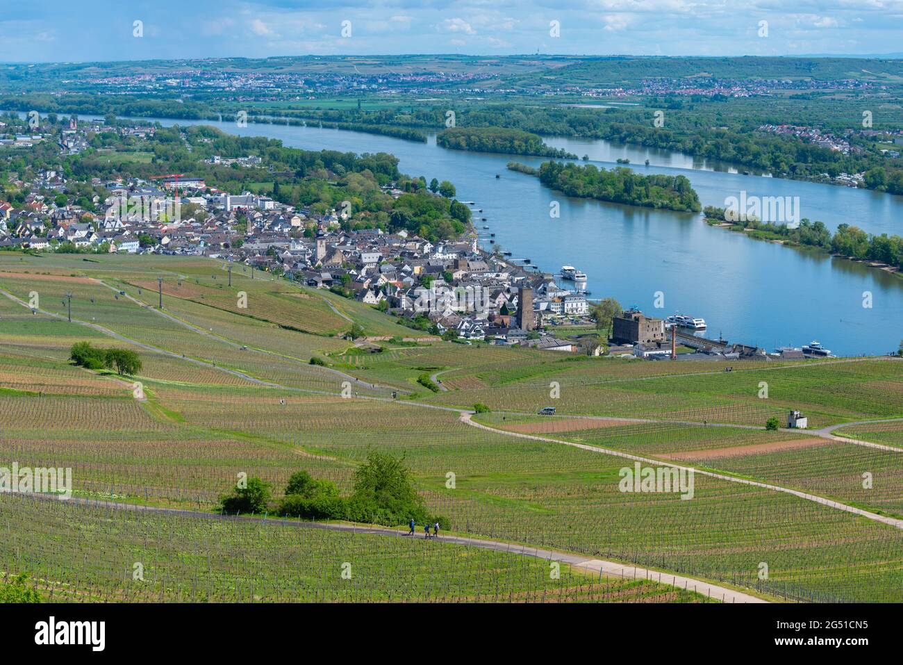 Stadt und Weingärten von der Niederwald-Gedenkstätte aus gesehen, Rüdesheim, berühmtes Weindorf im Rheingau Landschaft am Rhein, Hessen, Deutschland, Europa Stockfoto
