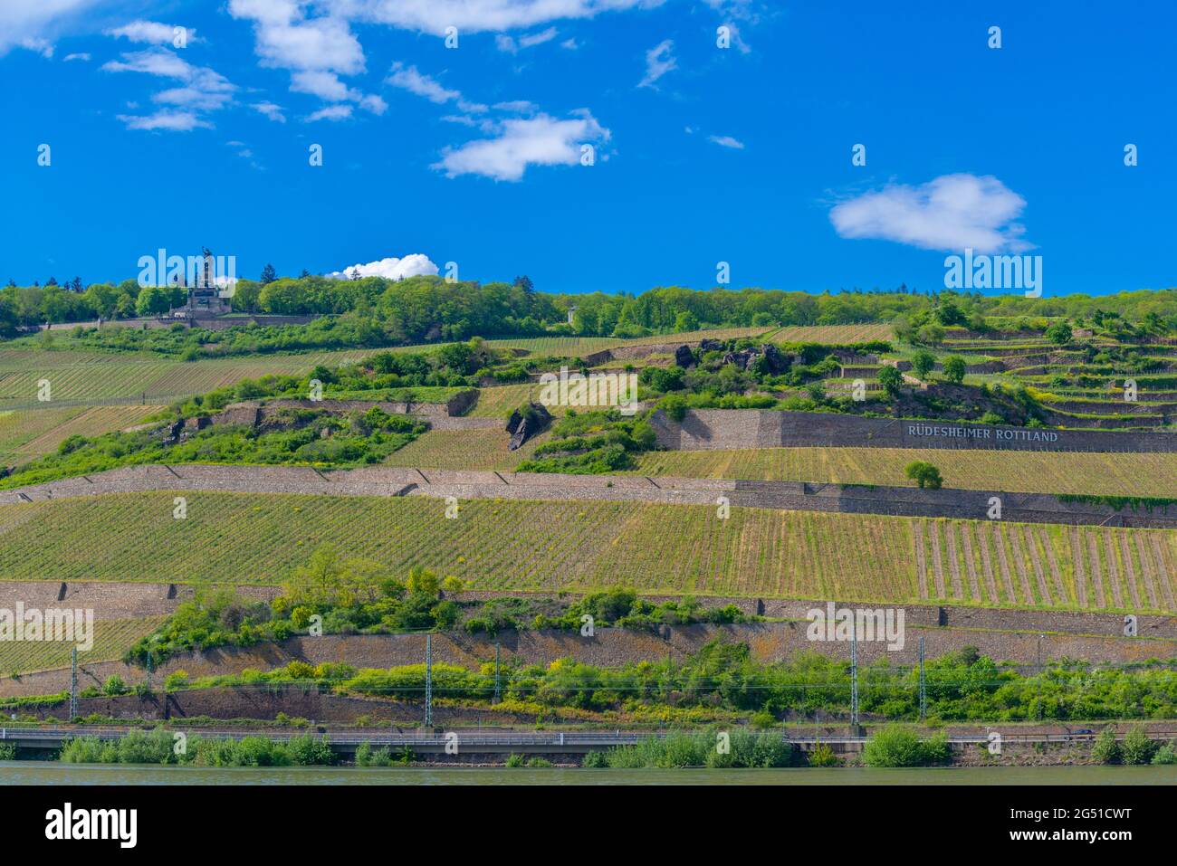 Niederwald Gedenkstätte und Weingärten in Rüdesheim, berühmtes Weindorf in der Rheingauer Landschaft am Rhein, Hessen, Deutschland, Europa Stockfoto