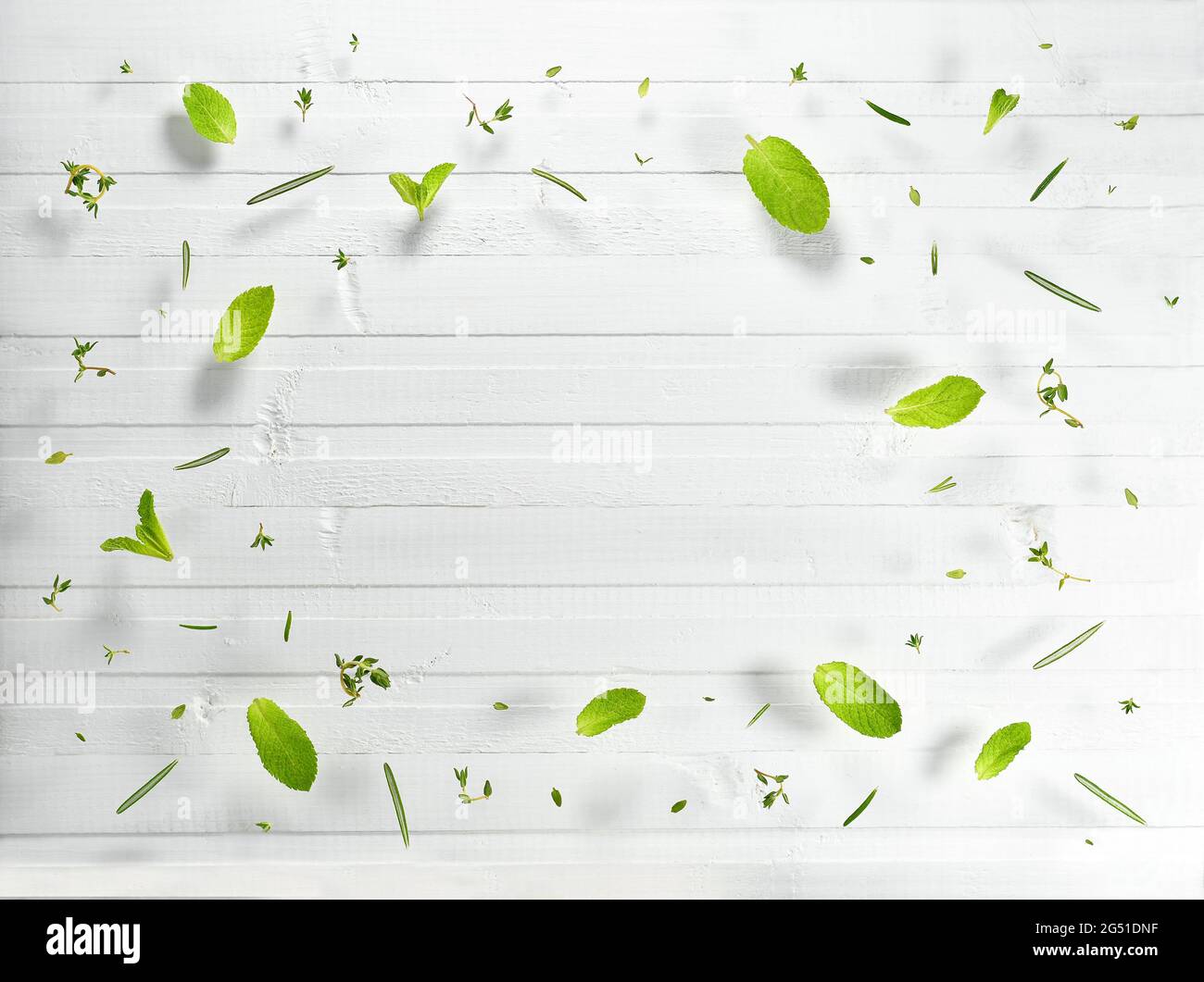 Würzige Kräuter auf einer weißen Holzarbeitsfläche. Anordnung der Heilkräuter in Form eines Rahmens. Stockfoto