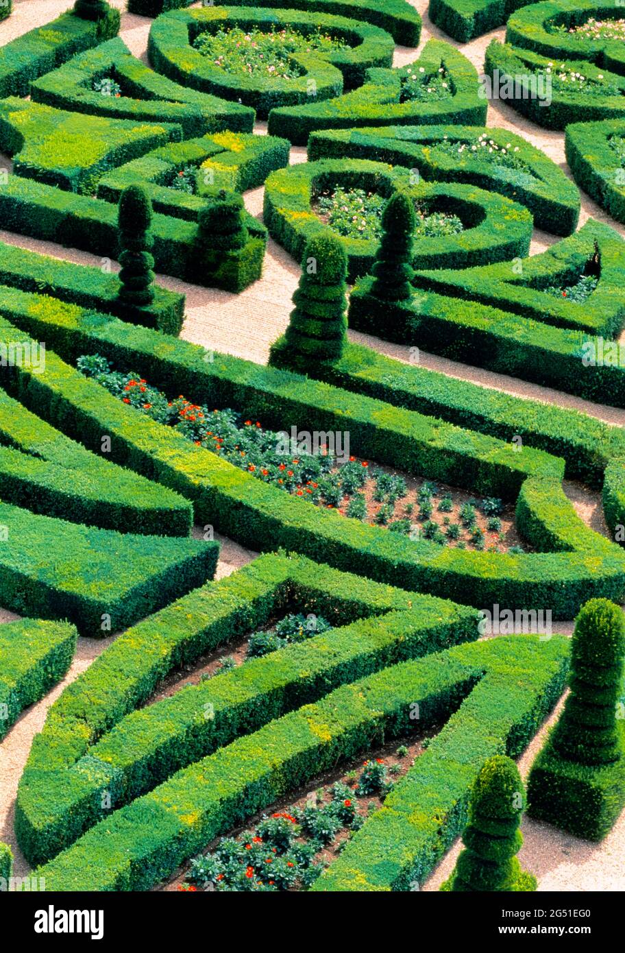 Blick auf die Gärten von Villandry, Villandry, Indre-et-Loire, Frankreich Stockfoto