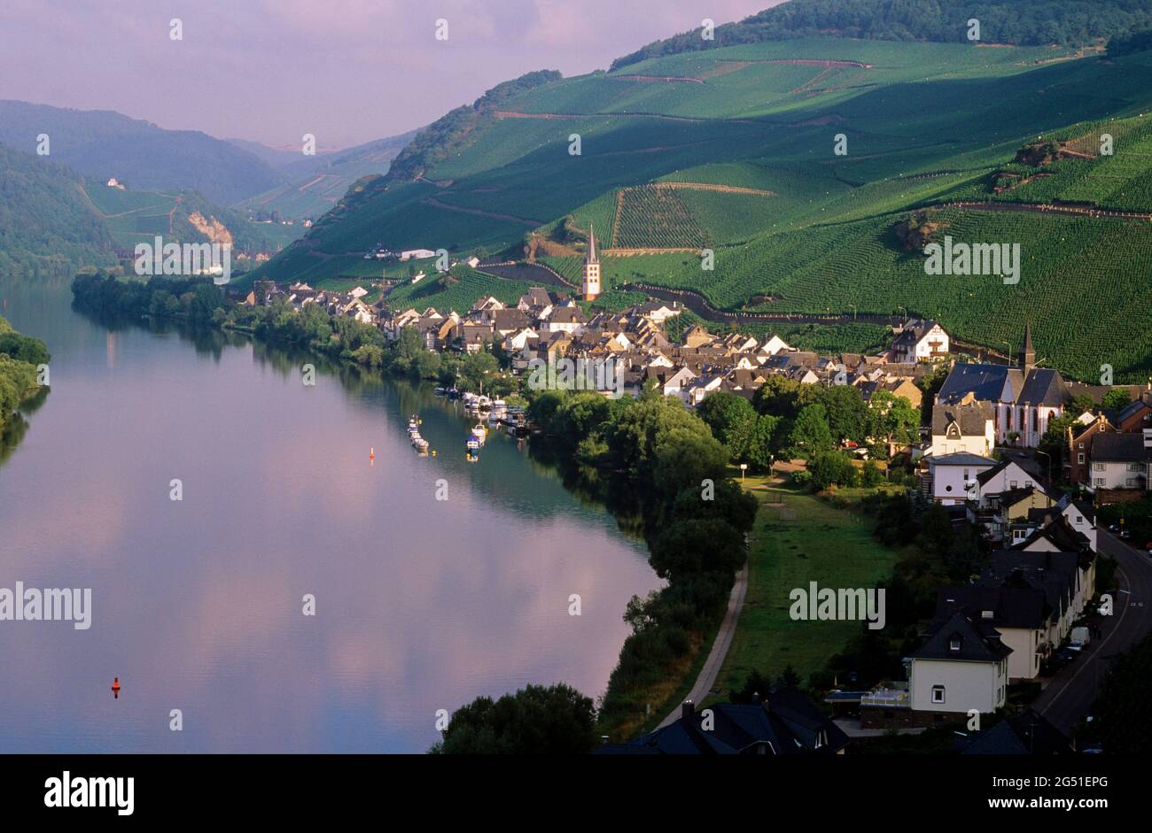 Stadt Zell und Mosel, Rheinland-Pfalz, Deutschland Stockfoto