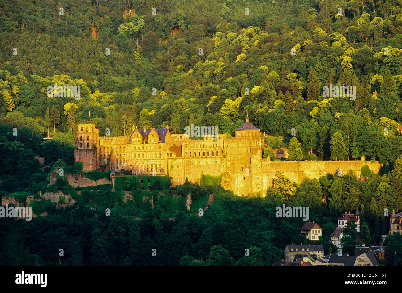 Heidelberger Schloss umgeben von Wald, Heidelberg, Baden-Württemberg, Deutschland Stockfoto