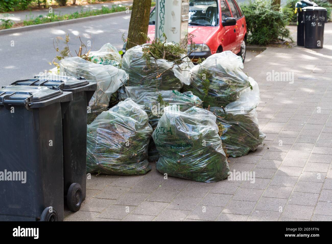 Baumstausschnitte in transparenten Plastiktüten gesammelt, die in der Straße, Sopron, Ungarn, gestapelt wurden Stockfoto