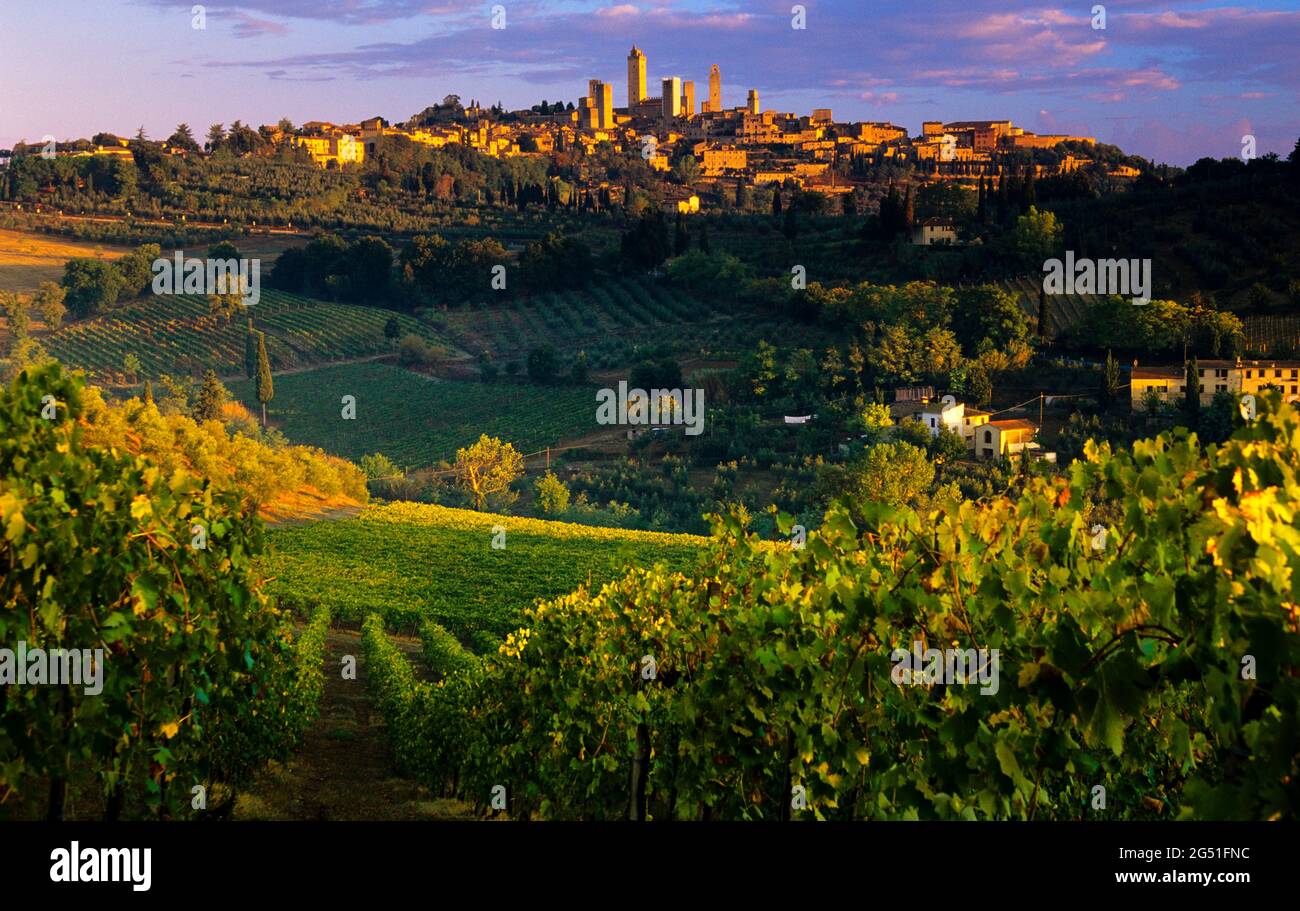 Blick auf Felder und Stadt auf einem Hügel, San Gimignano, Toskana, Italien Stockfoto