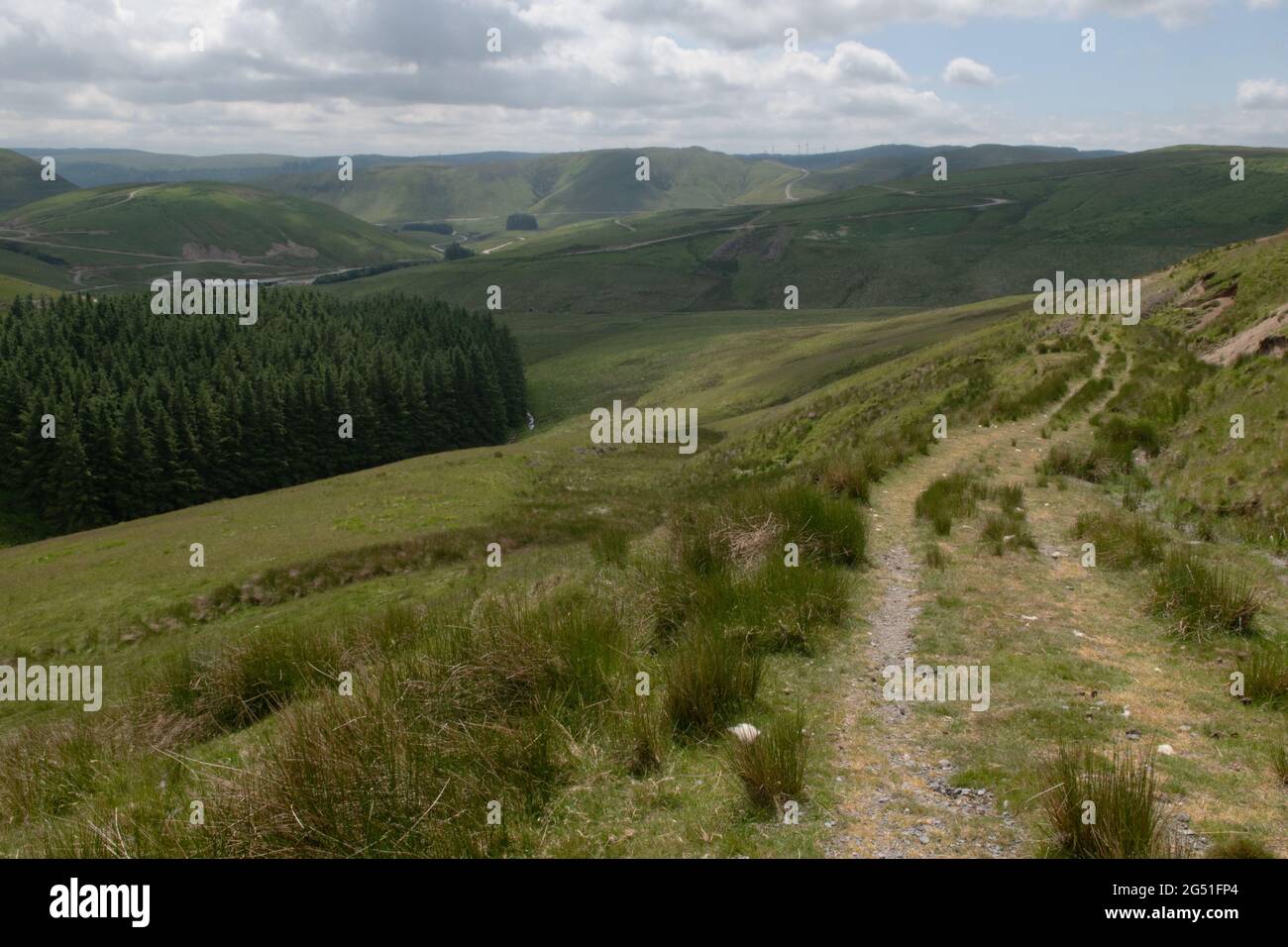 Die Hänge von Plynlivon und die Quelle des Flusses Wye in Powys, Wales. Stockfoto